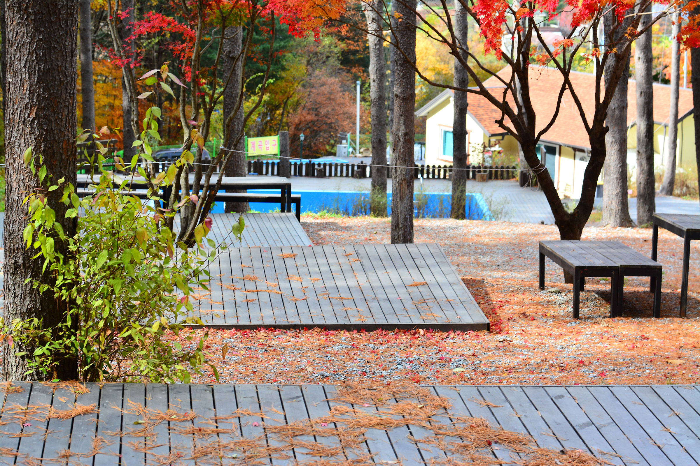 유명산힐링캠프 20번째 이미지