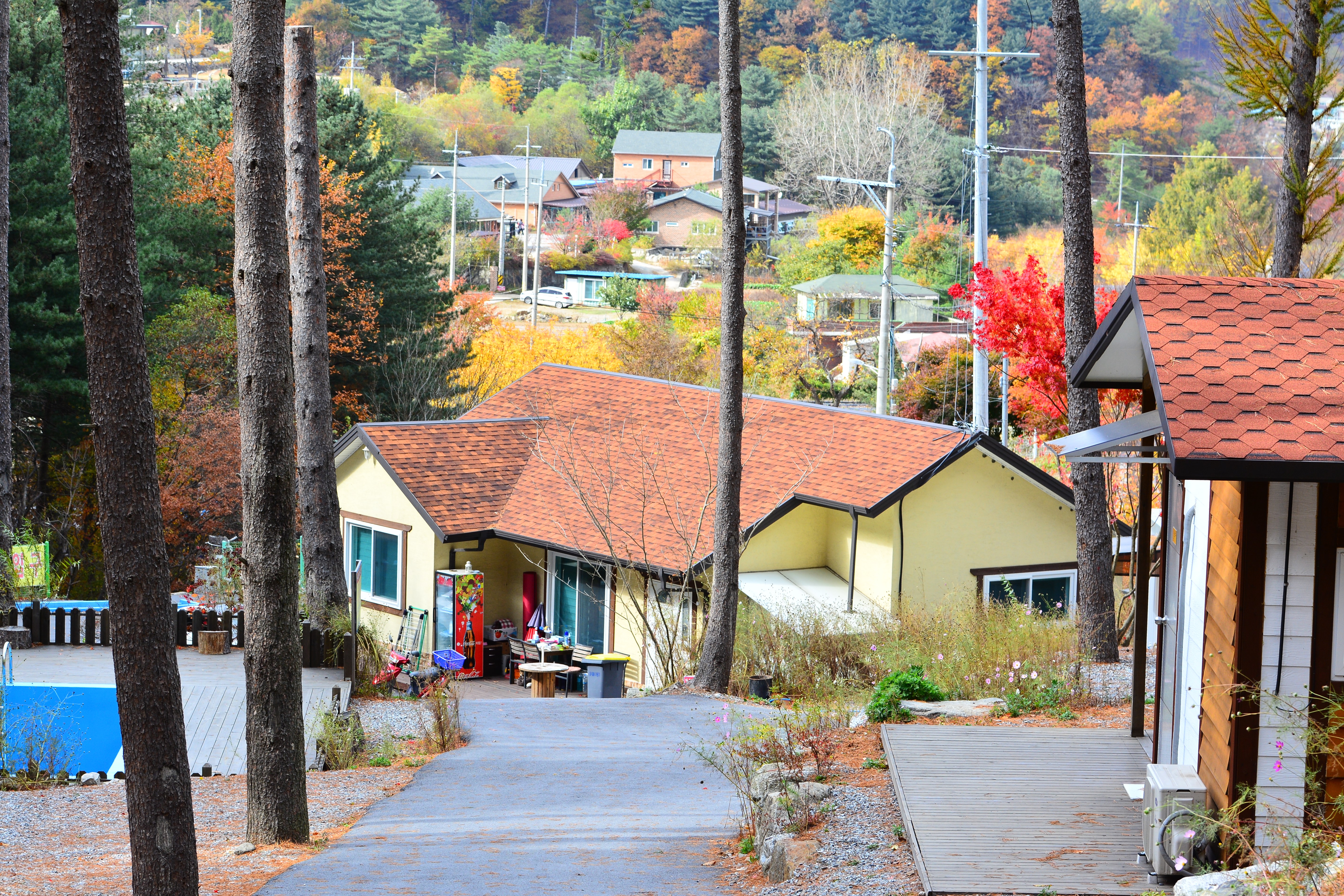 유명산힐링캠프 14번째 이미지