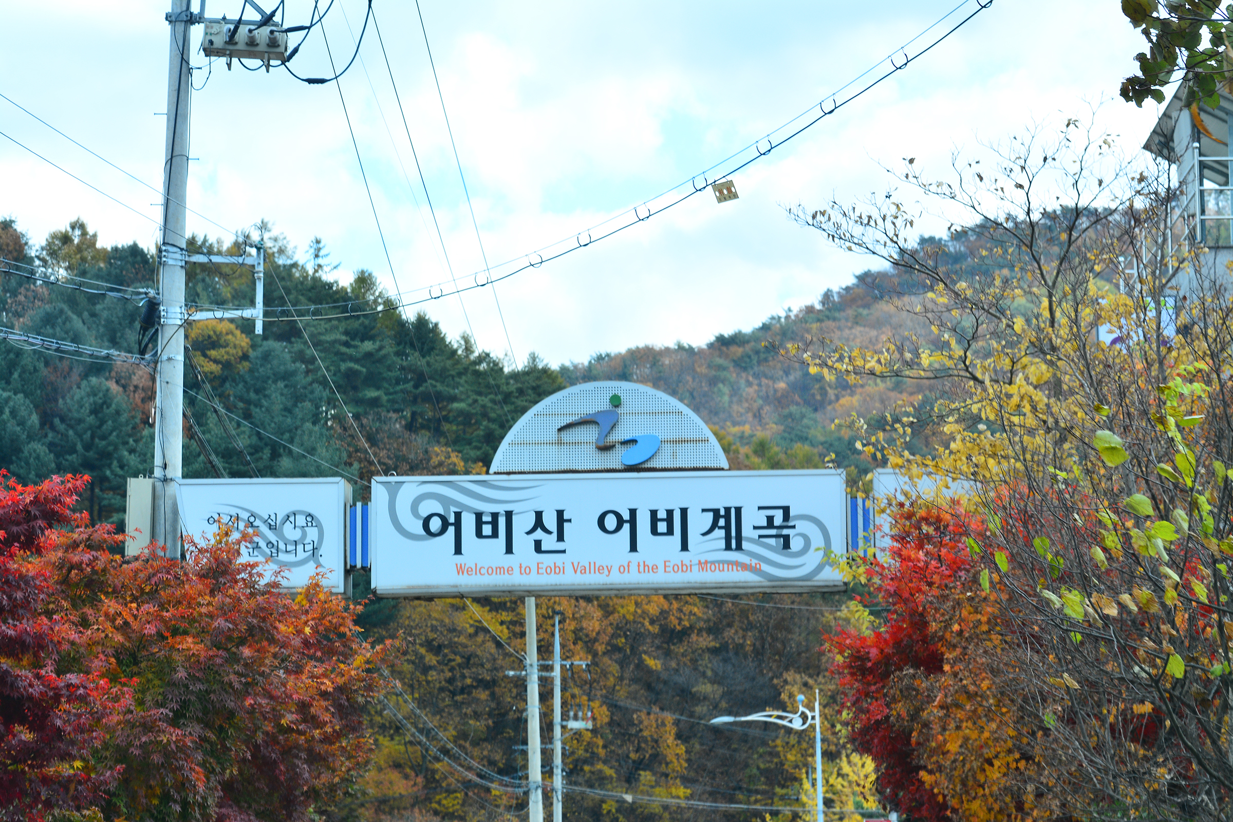 유명산힐링캠프 18번째 이미지