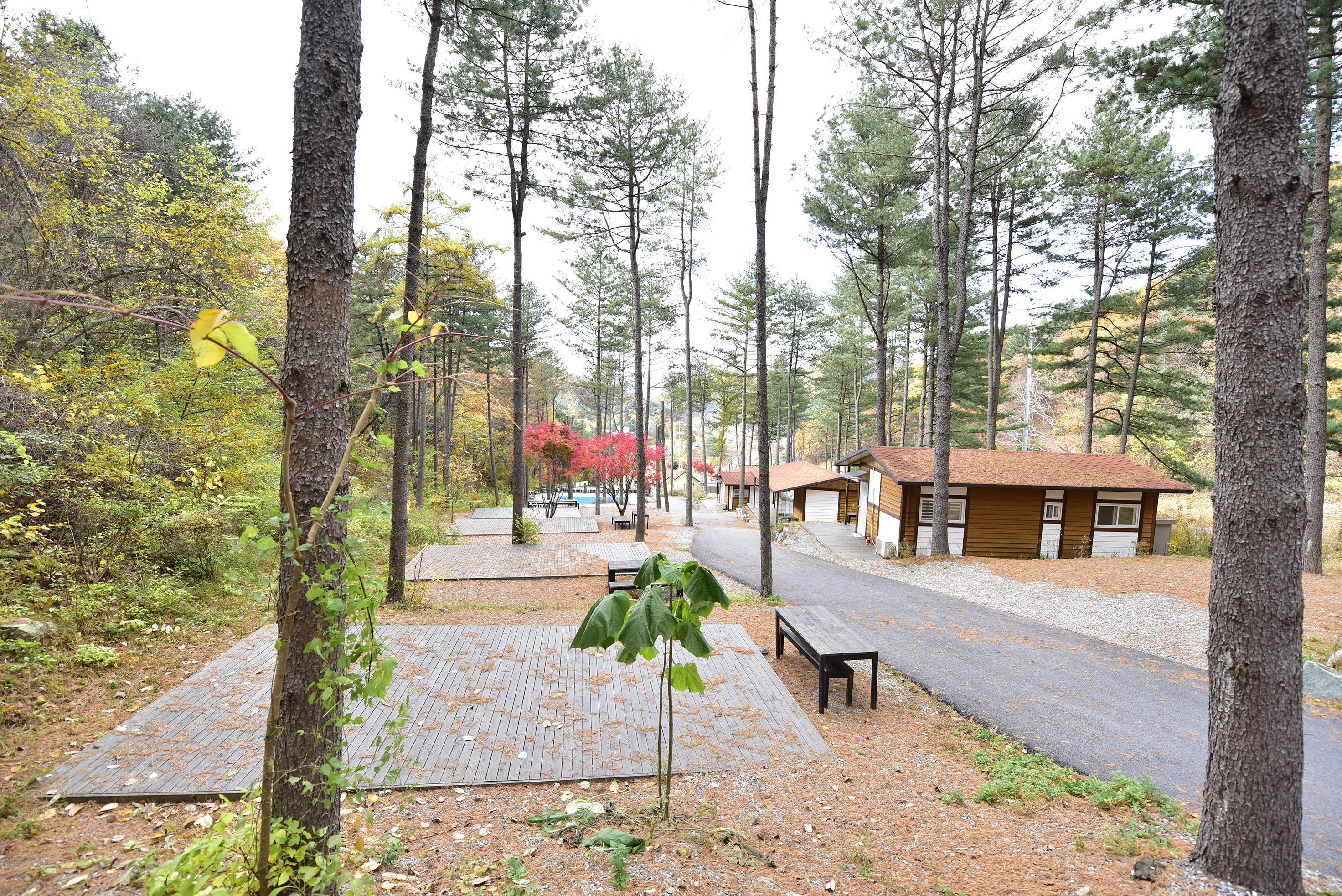 유명산힐링캠프 2번째 이미지