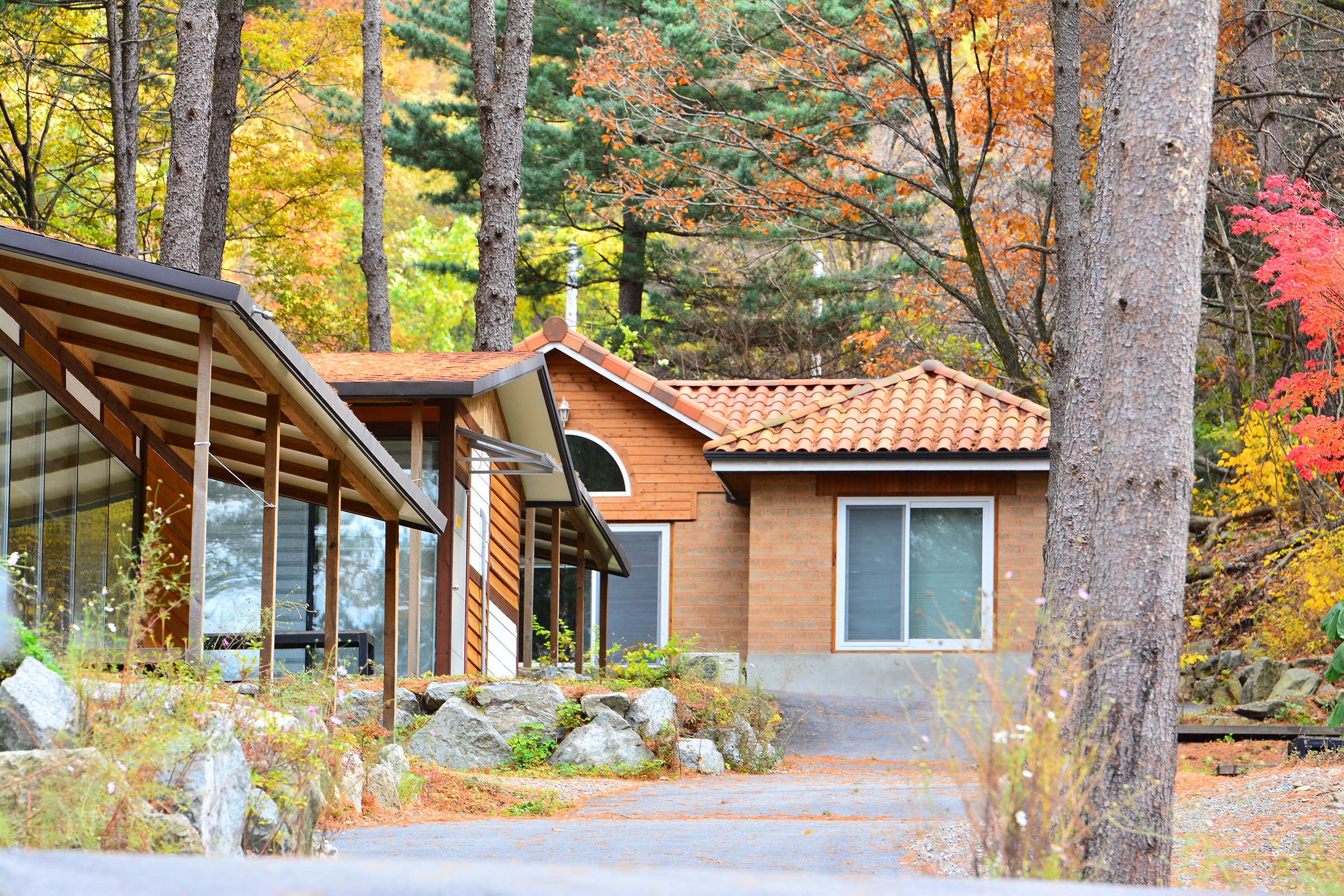 유명산힐링캠프 24번째 이미지