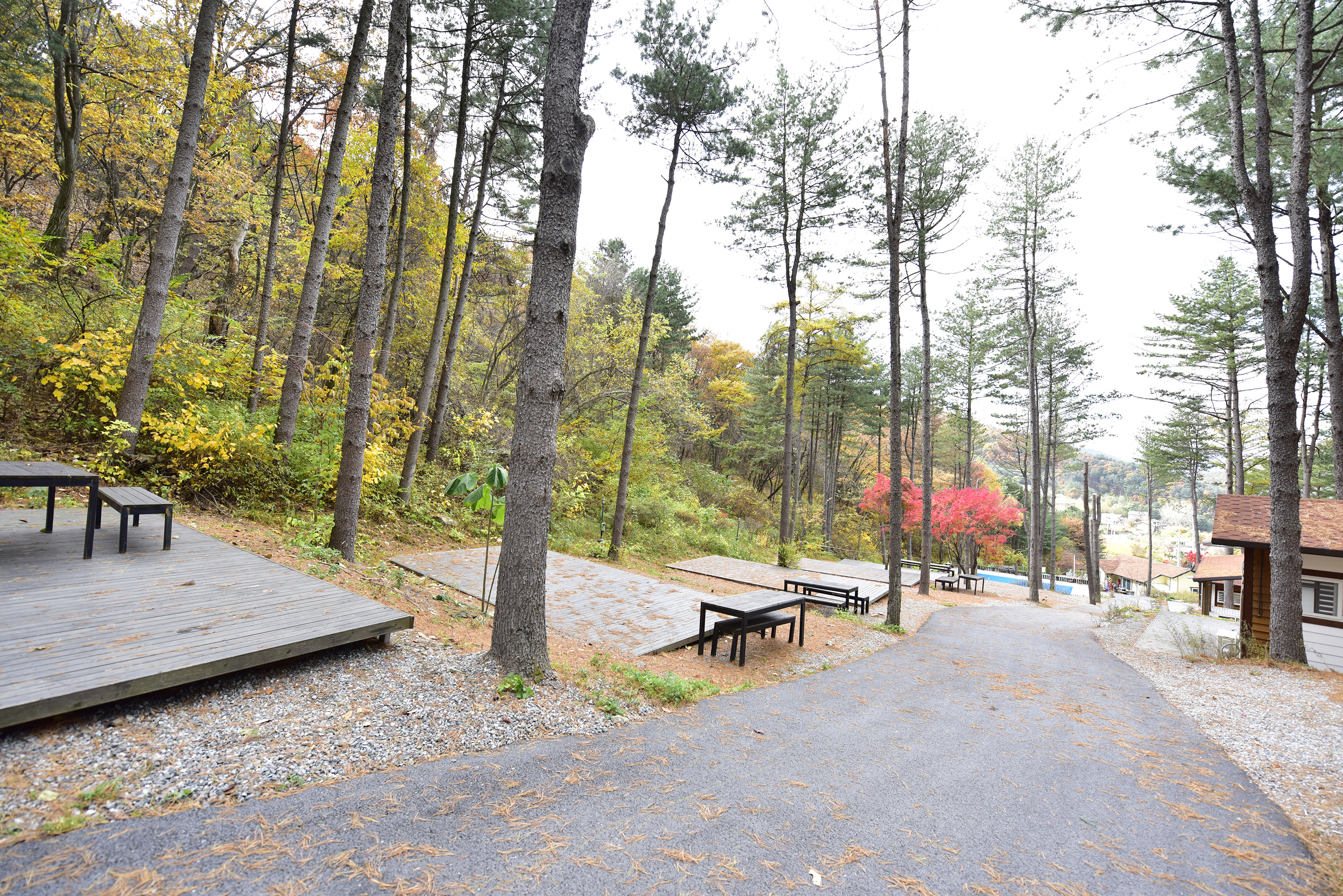 유명산힐링캠프 23번째 이미지