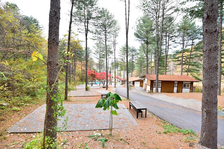 유명산힐링캠프 대표 이미지