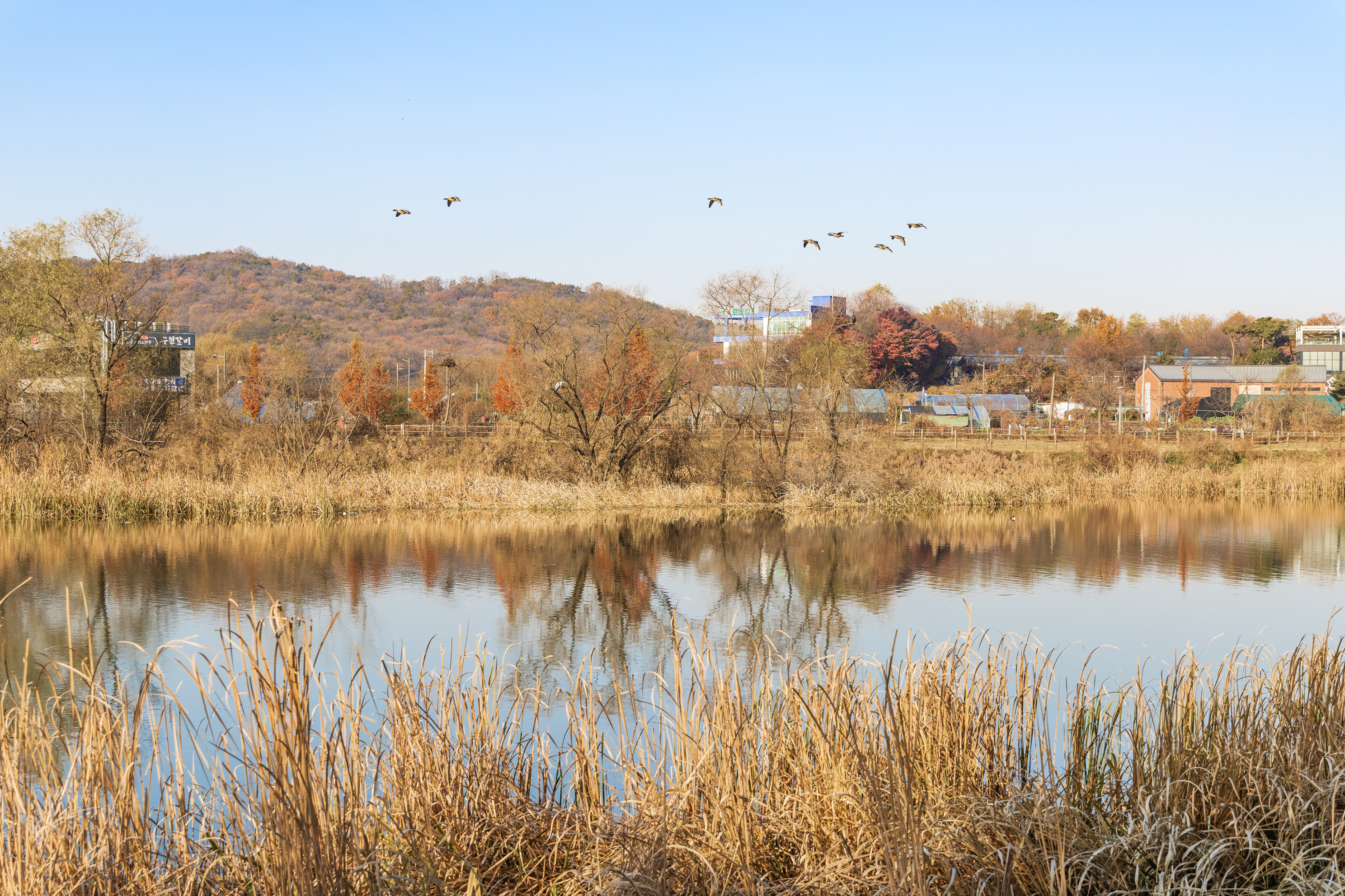 왕송호수 캠핑장 8번째 이미지