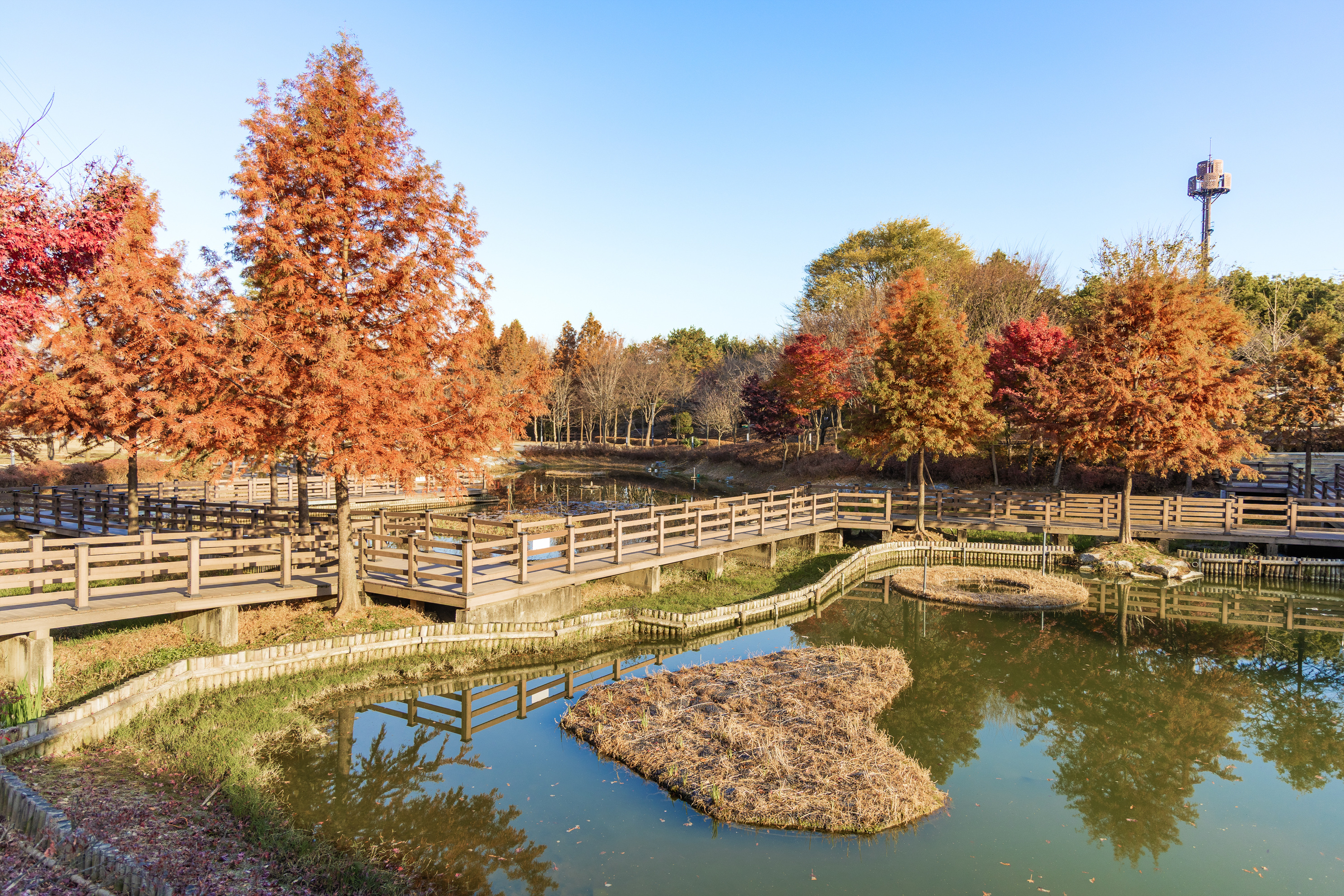 왕송호수 캠핑장 6번째 이미지