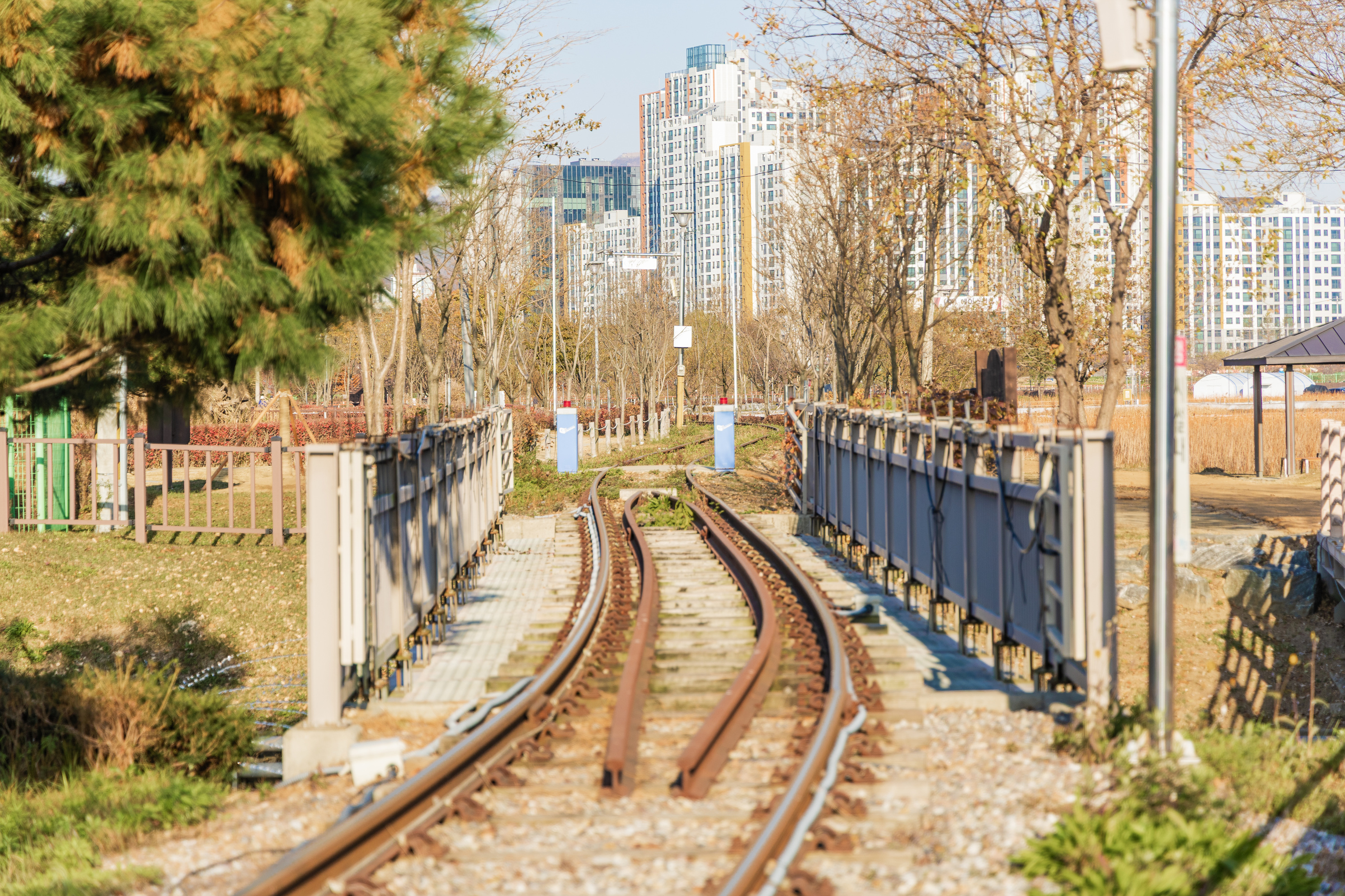 왕송호수 캠핑장 41번째 이미지