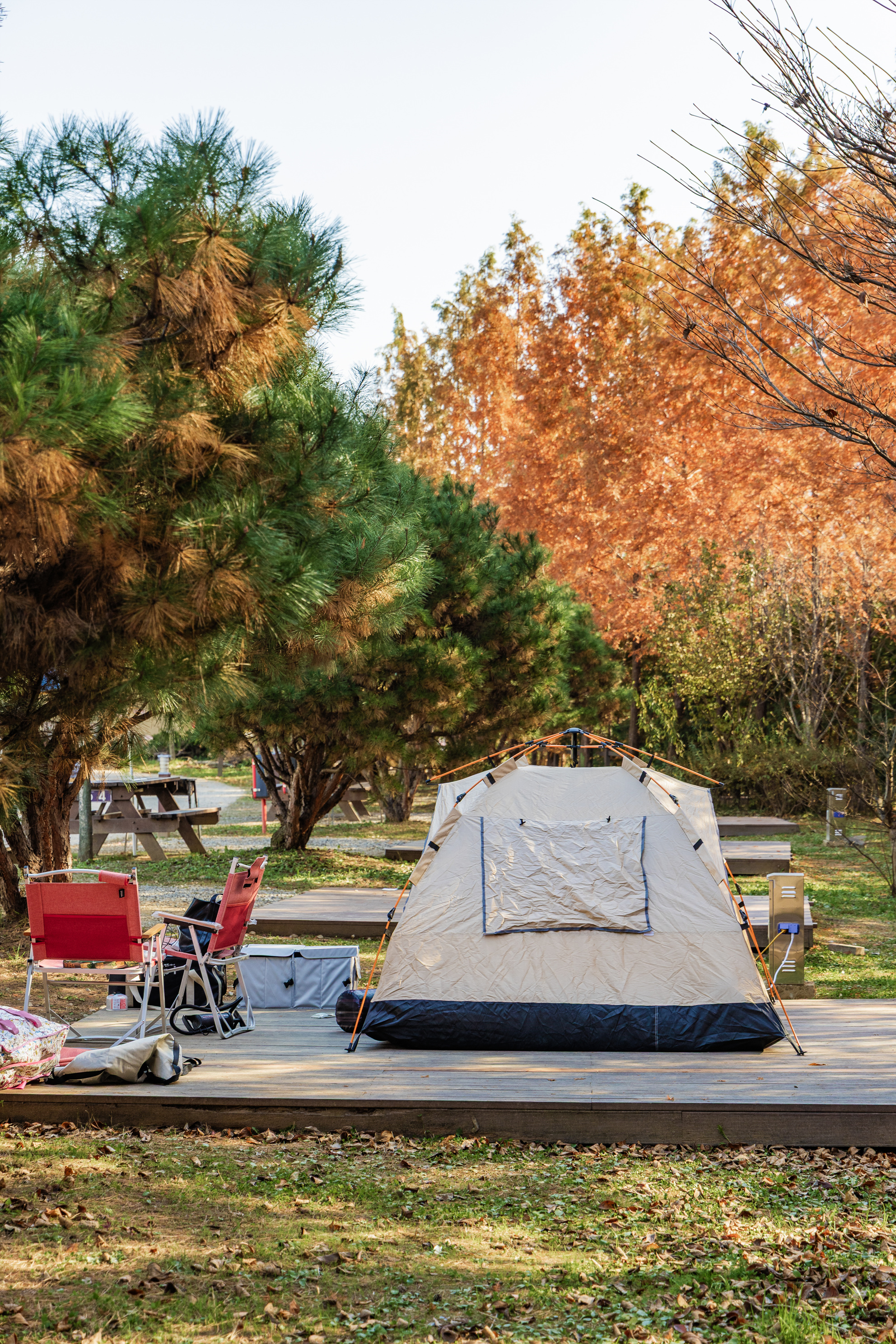 왕송호수 캠핑장 25번째 이미지