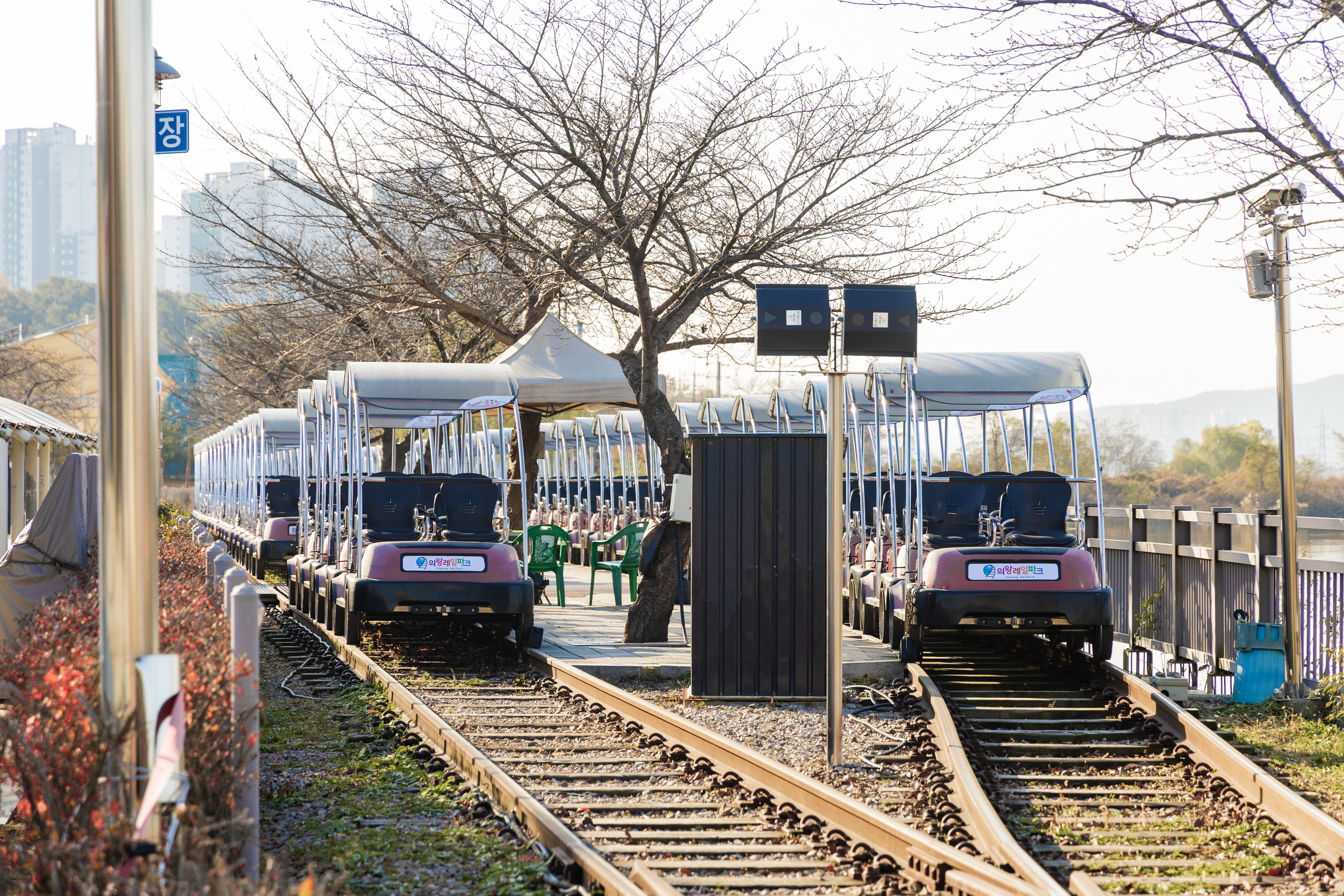 왕송호수 캠핑장 42번째 이미지