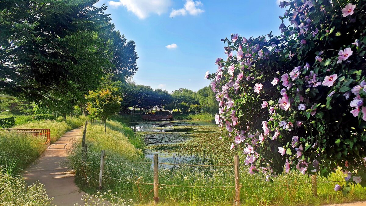 소풍정원 캠핑장 36번째 이미지