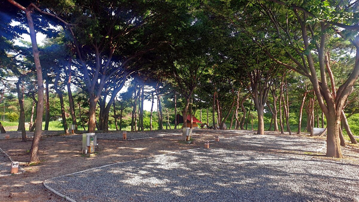 소풍정원 캠핑장 13번째 이미지