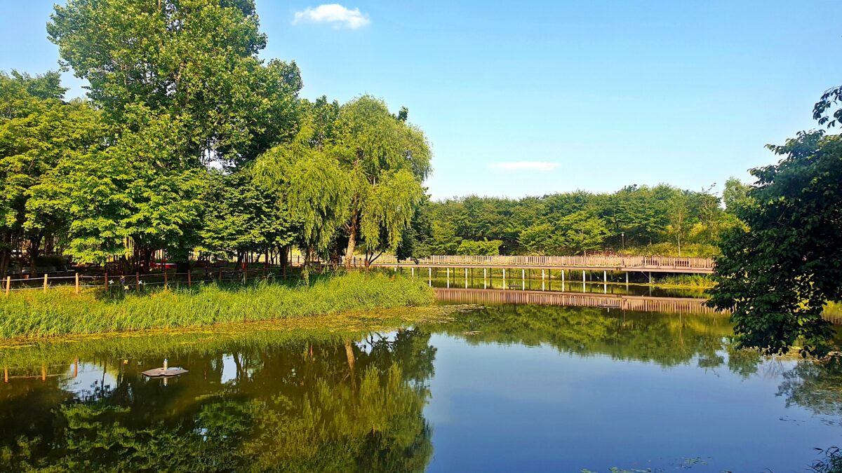 소풍정원 캠핑장 2번째 이미지