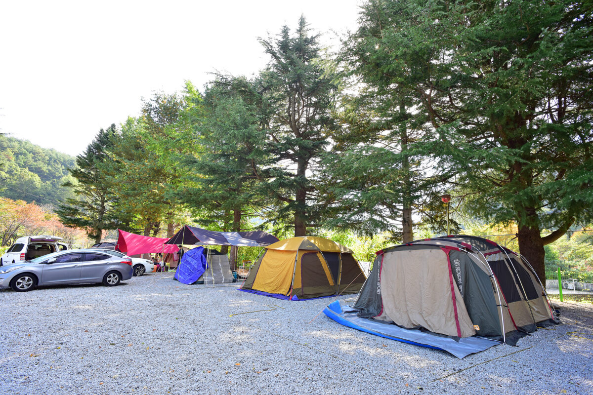 달빛고운 병곡캠핑장 6번째 이미지