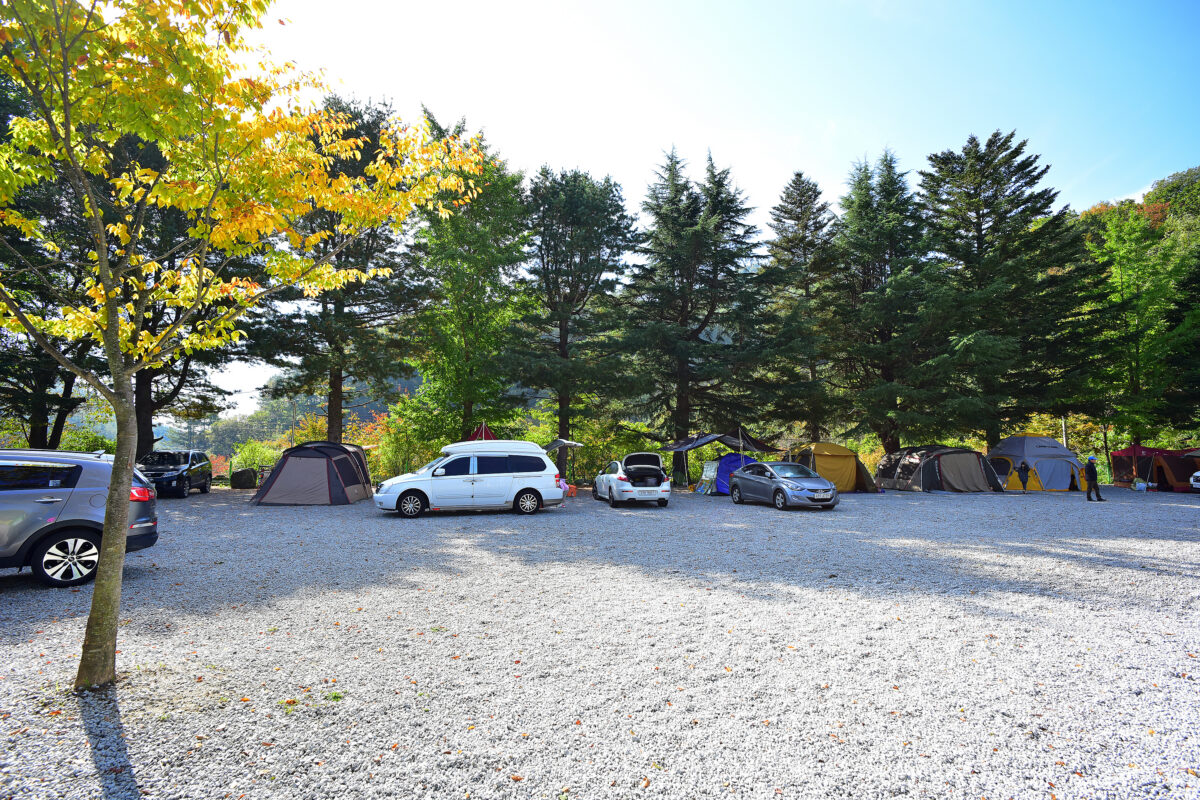 달빛고운 병곡캠핑장 4번째 이미지