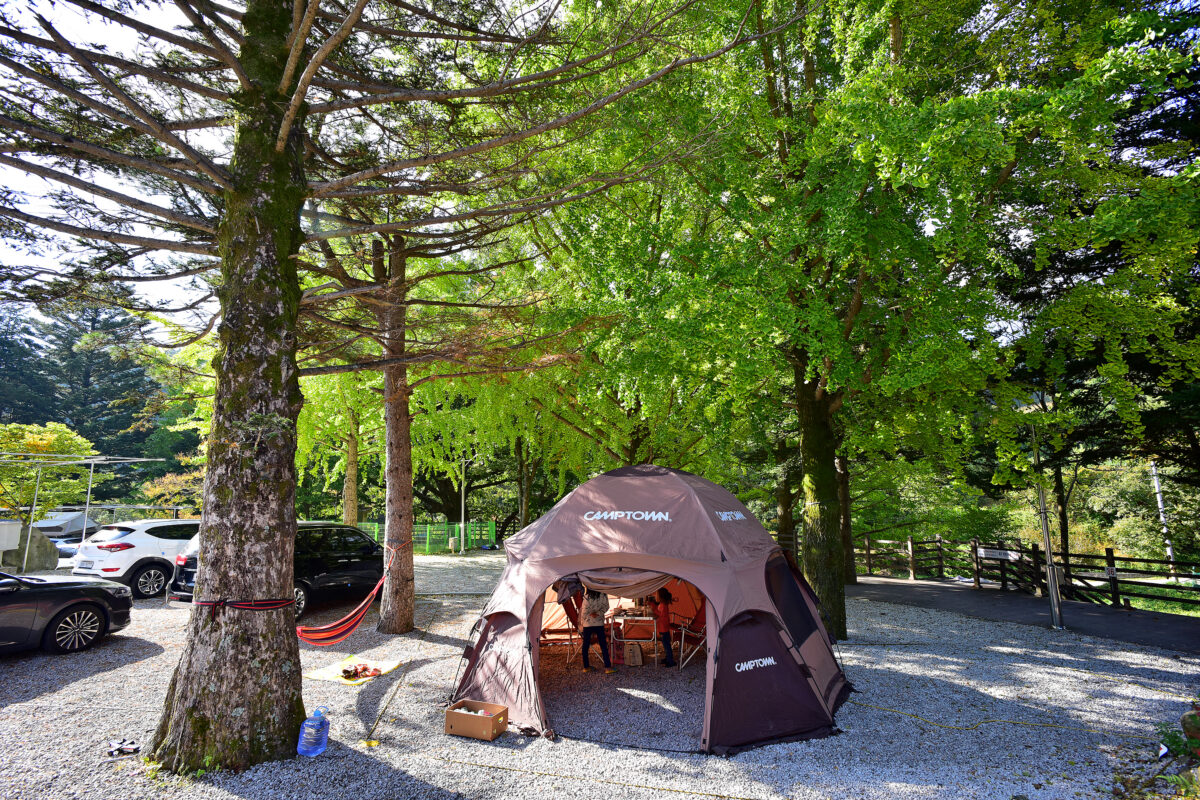 달빛고운 병곡캠핑장 8번째 이미지