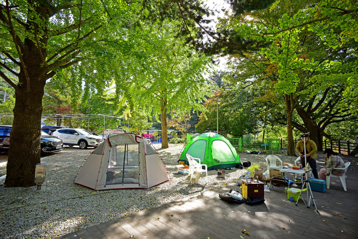 달빛고운 병곡캠핑장 1번째 이미지
