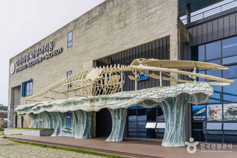 (주)마도섬펜션