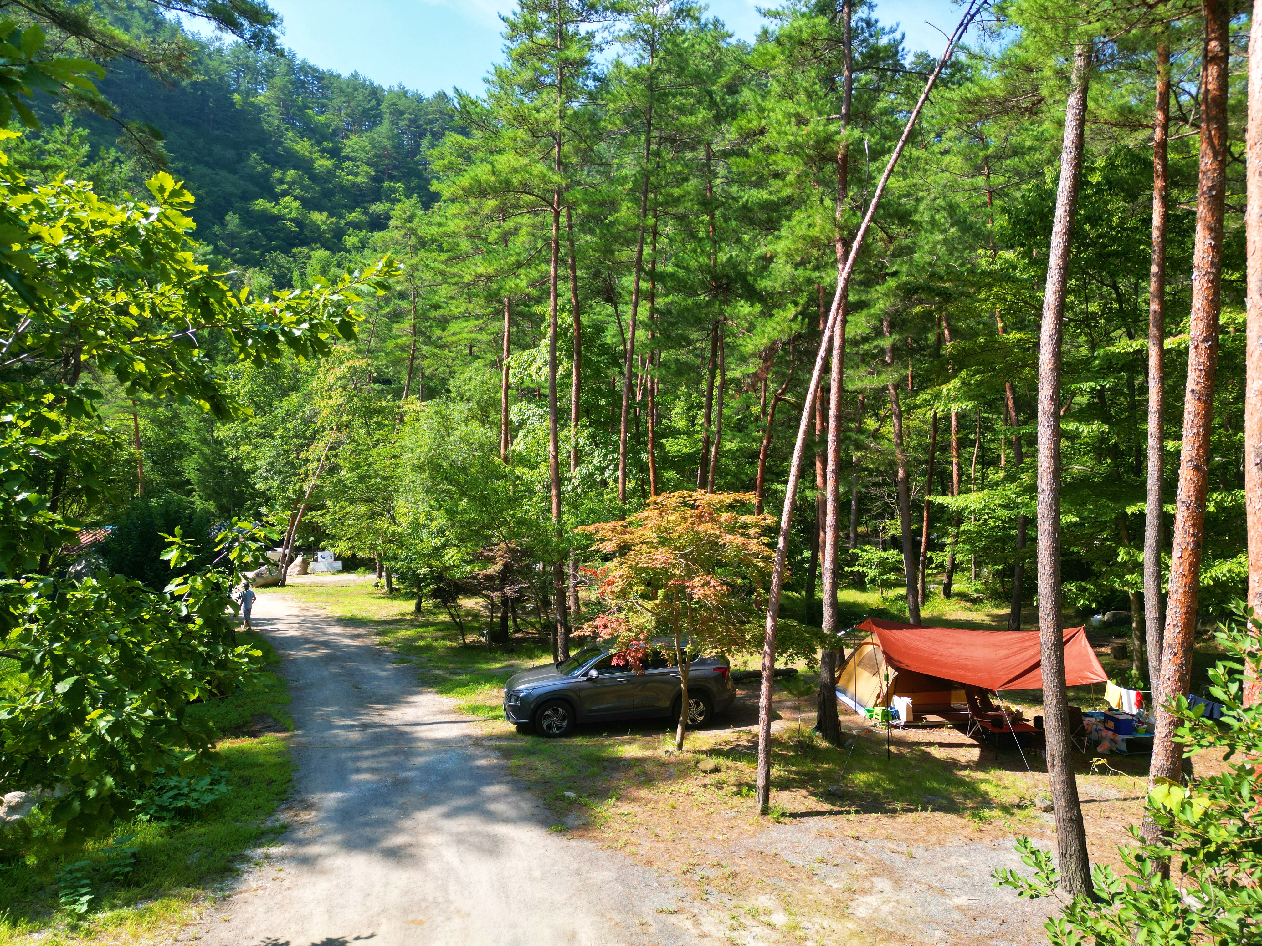 산내들 관광농원 1번째 이미지