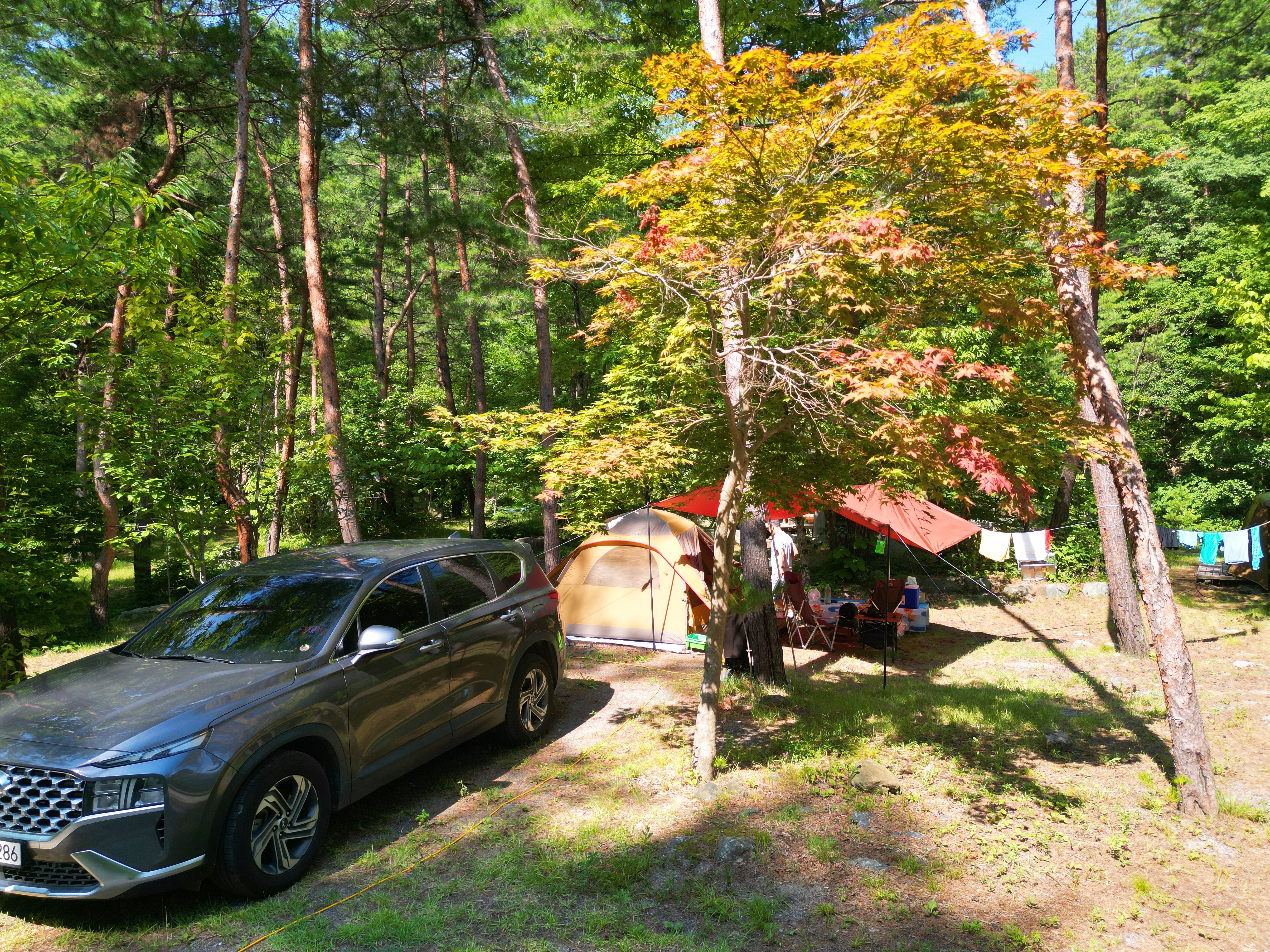 산내들 관광농원 6번째 이미지