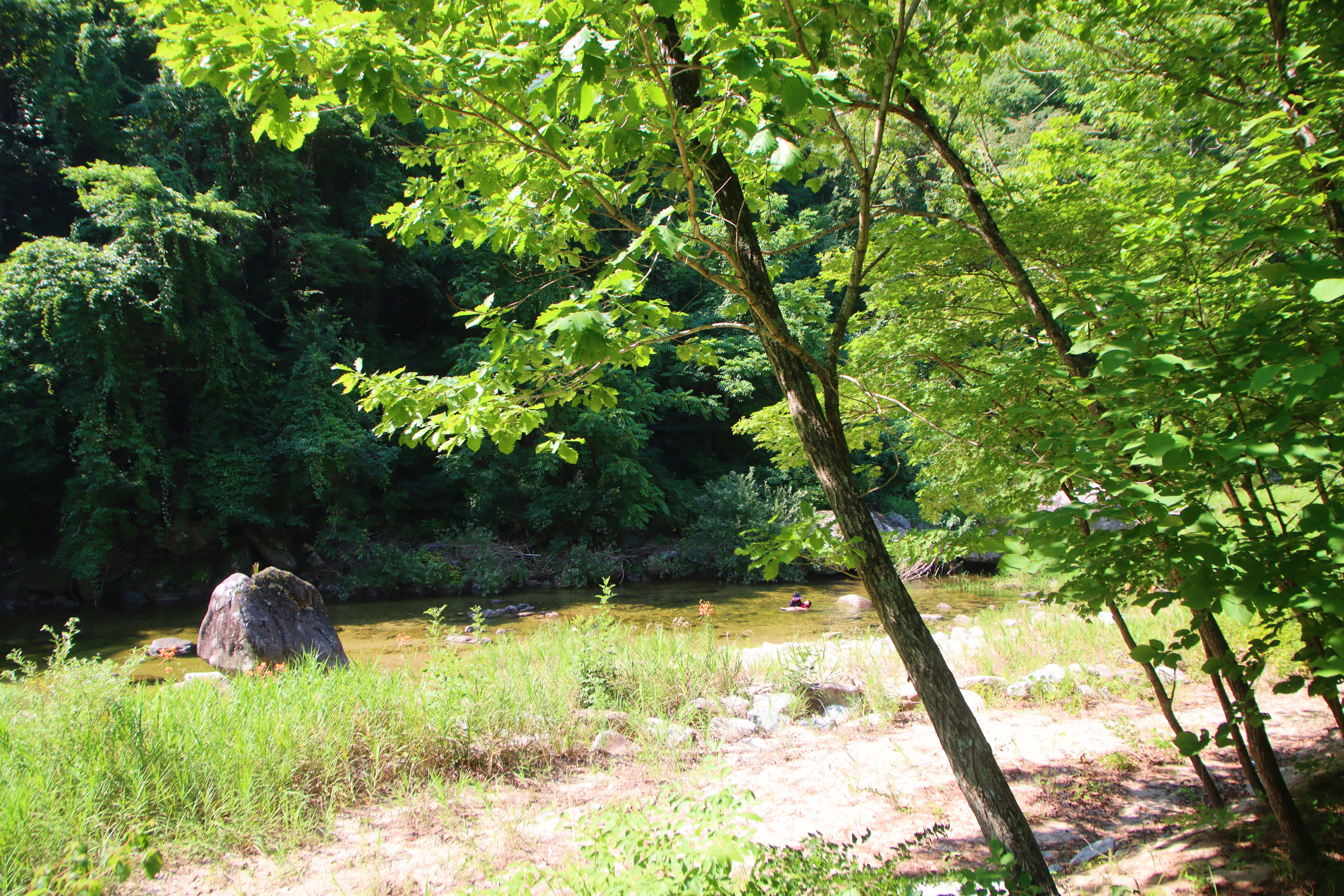 산내들 관광농원 8번째 이미지