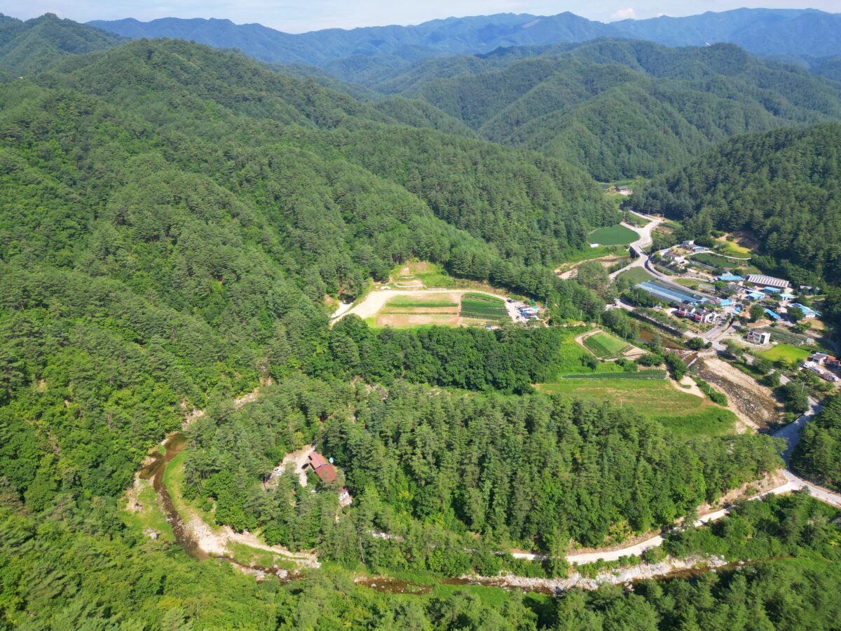 산내들 관광농원 15번째 이미지