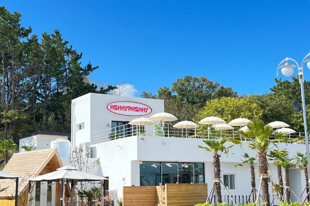 포라카이캠프닉 12번째 이미지