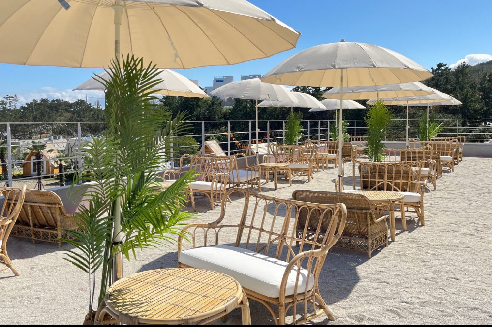 포라카이캠프닉 15번째 이미지