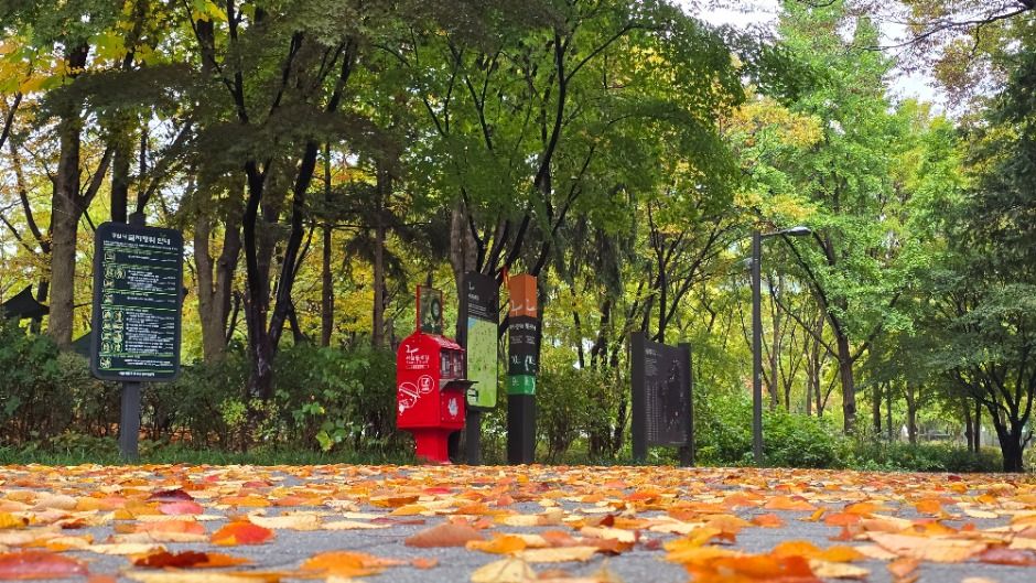 서울 서초 글램핑 청계산장