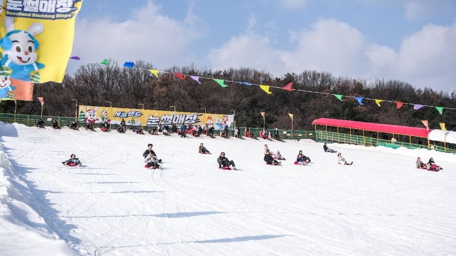 서울 서초 글램핑 청계산장
