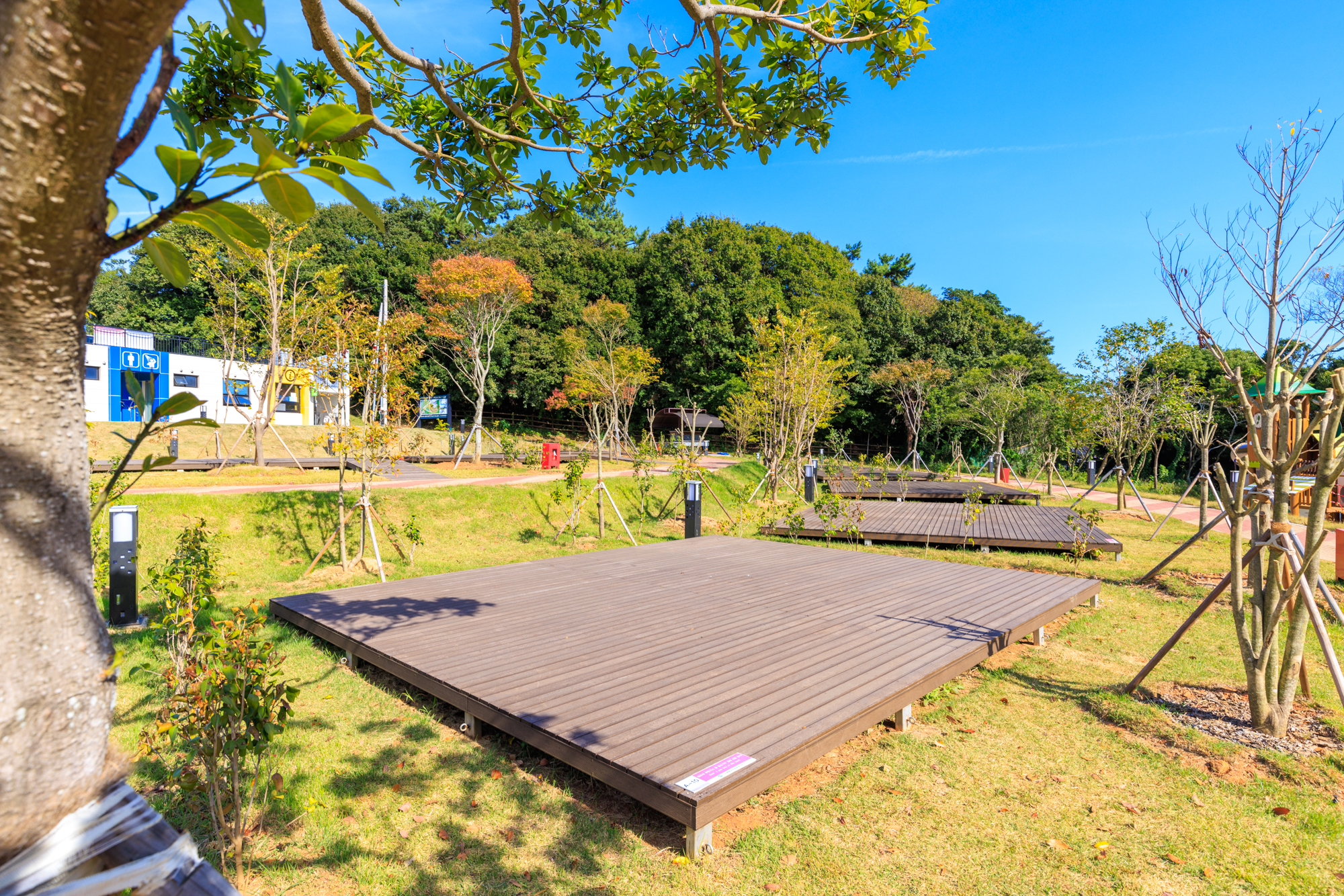 다도해해상국립공원 구계등야영장 12번째 이미지