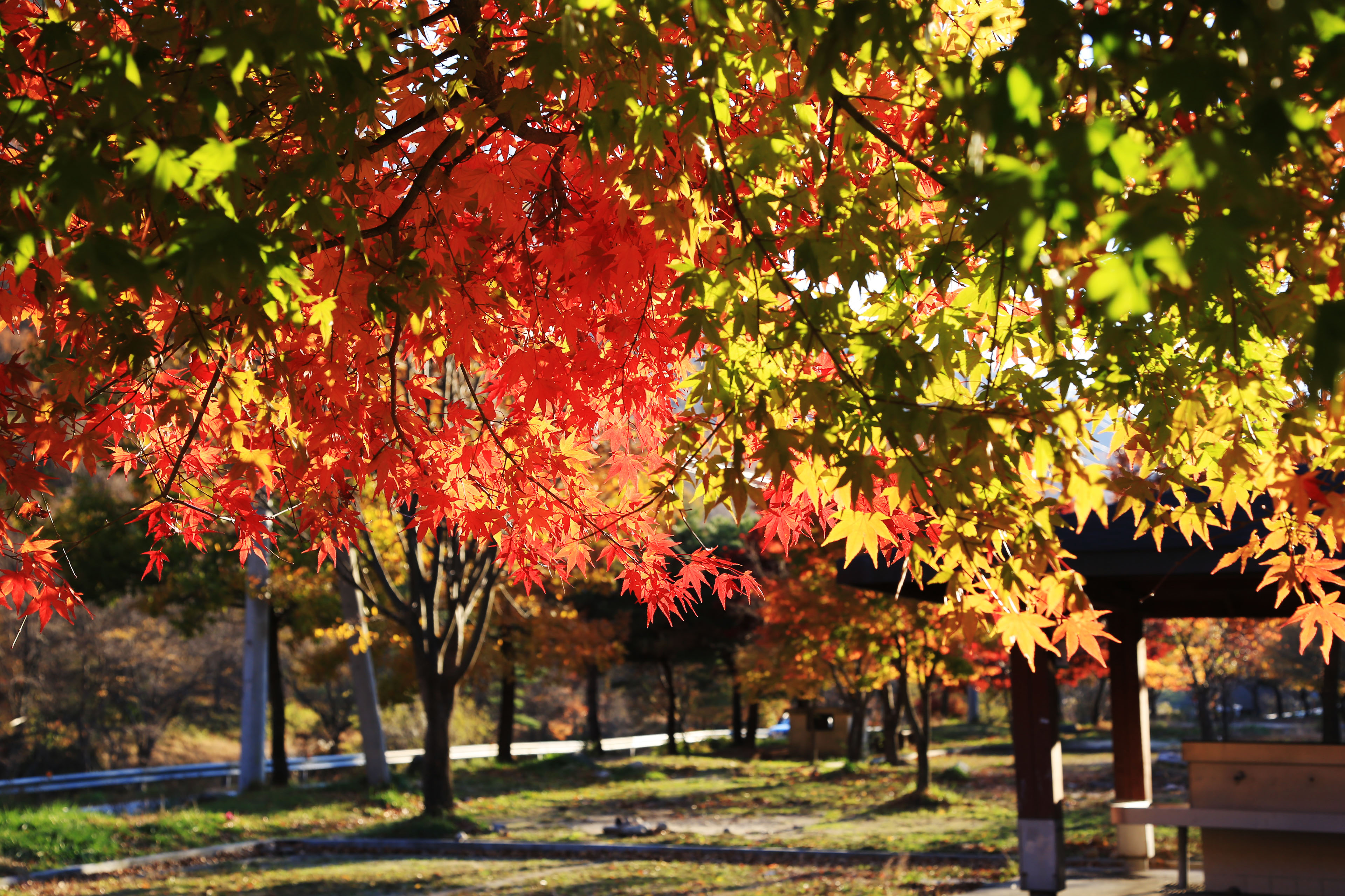 달궁자동차야영장 10번째 이미지