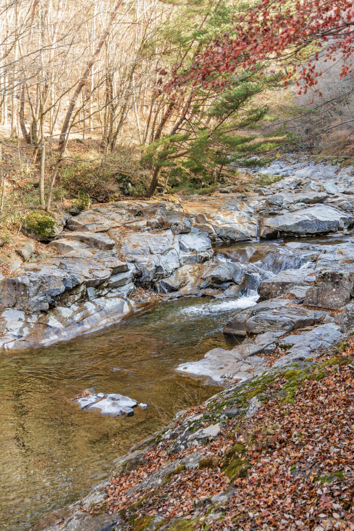 달궁자동차야영장 51번째 이미지