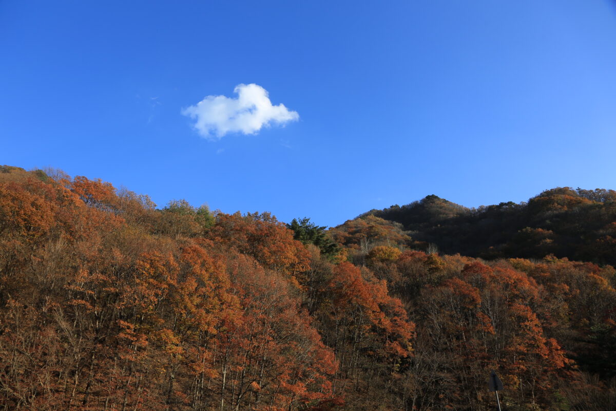 달궁자동차야영장 54번째 이미지