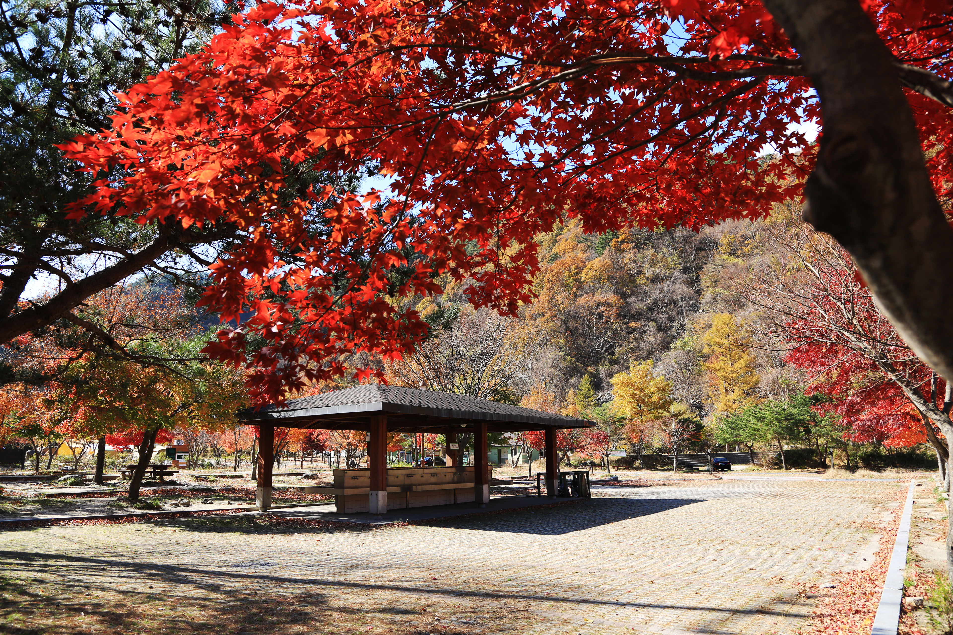 달궁자동차야영장 9번째 이미지