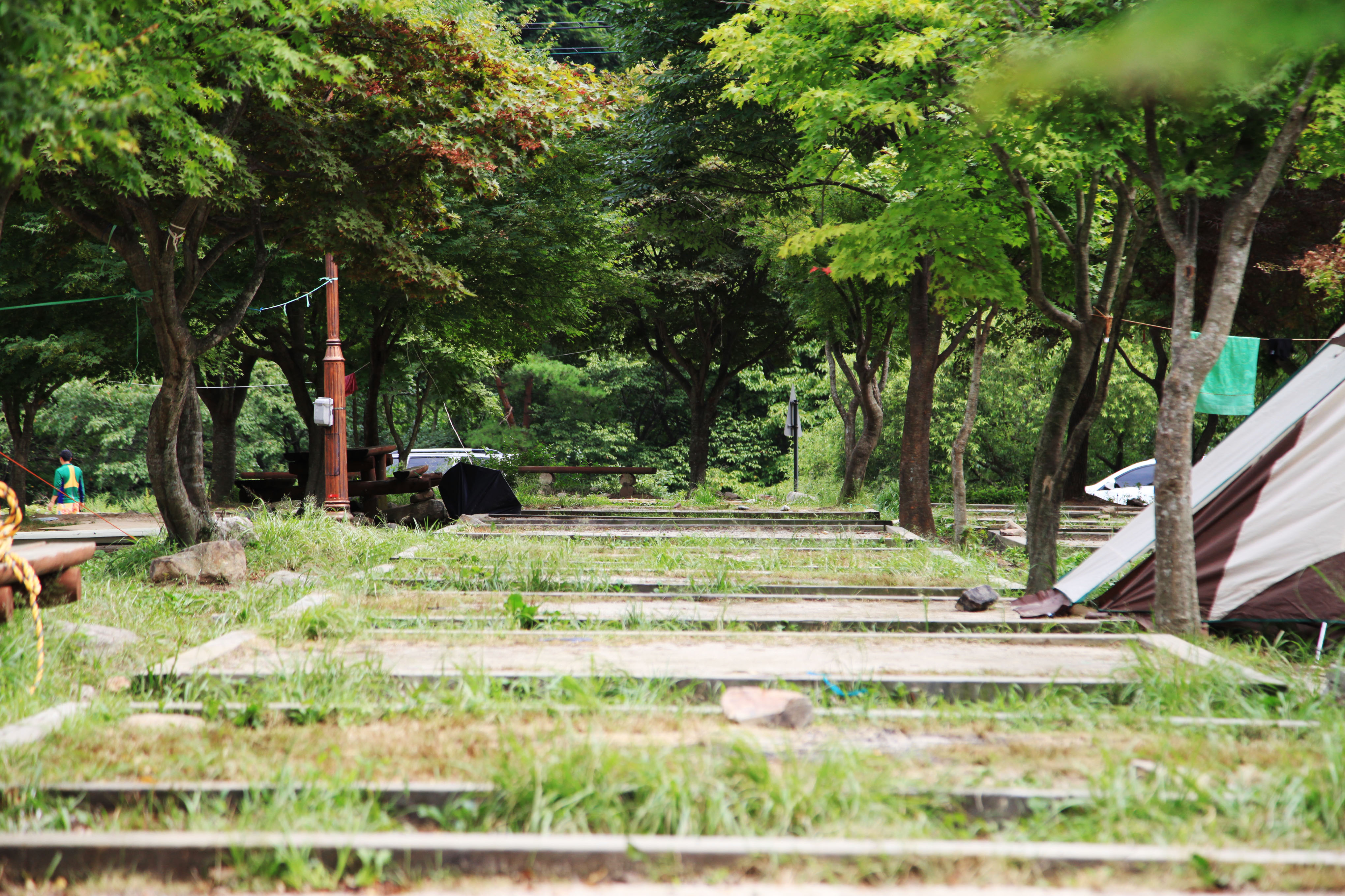 달궁자동차야영장 14번째 이미지