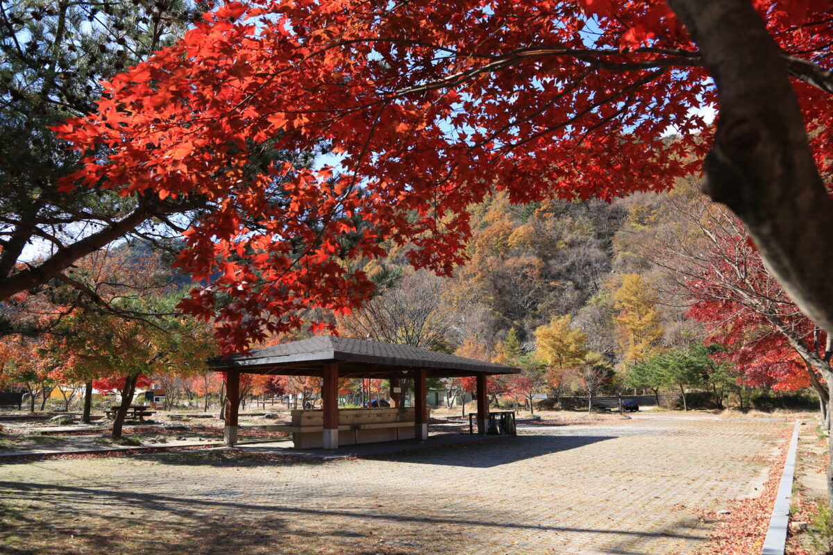 달궁자동차야영장 52번째 이미지