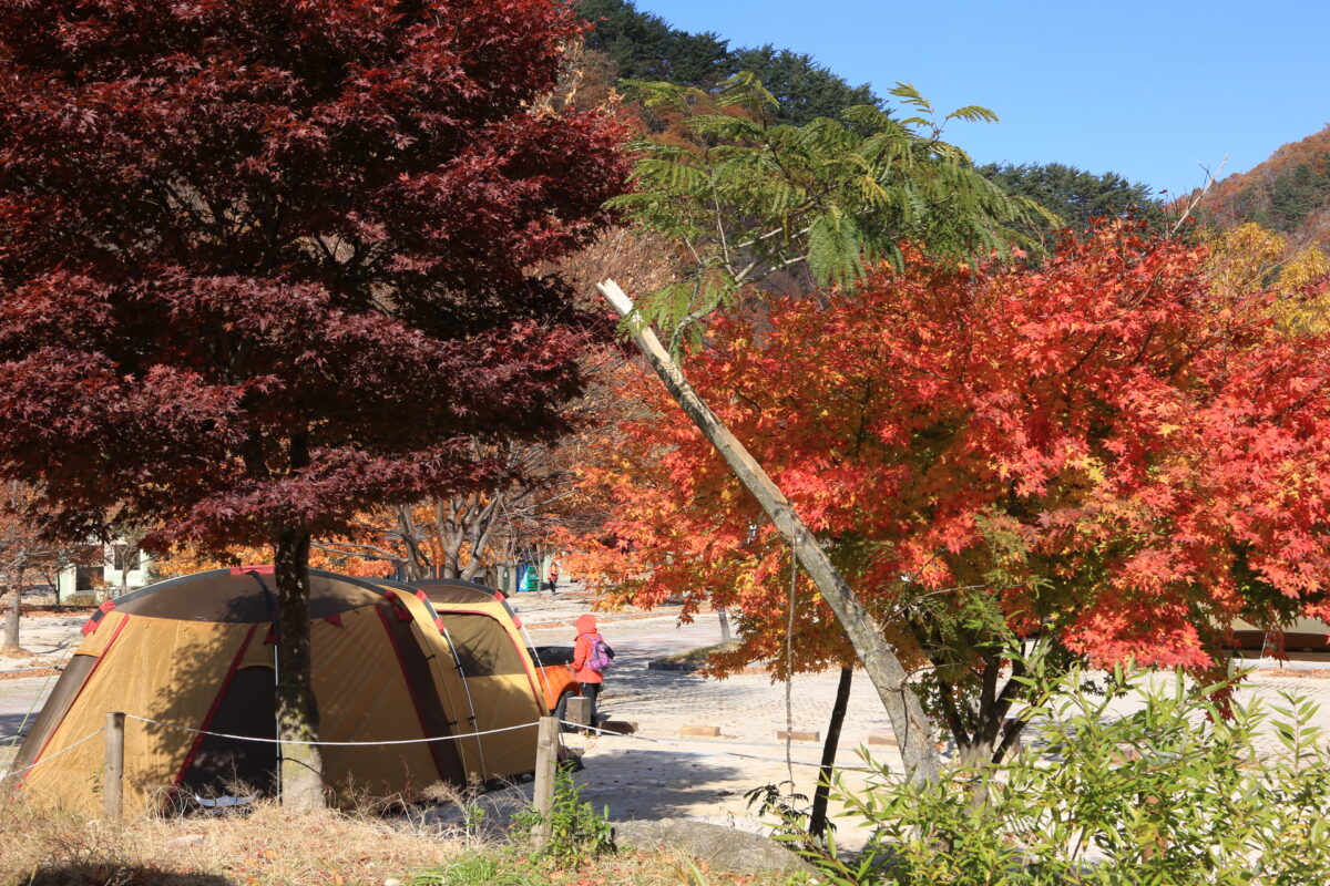 달궁자동차야영장 53번째 이미지