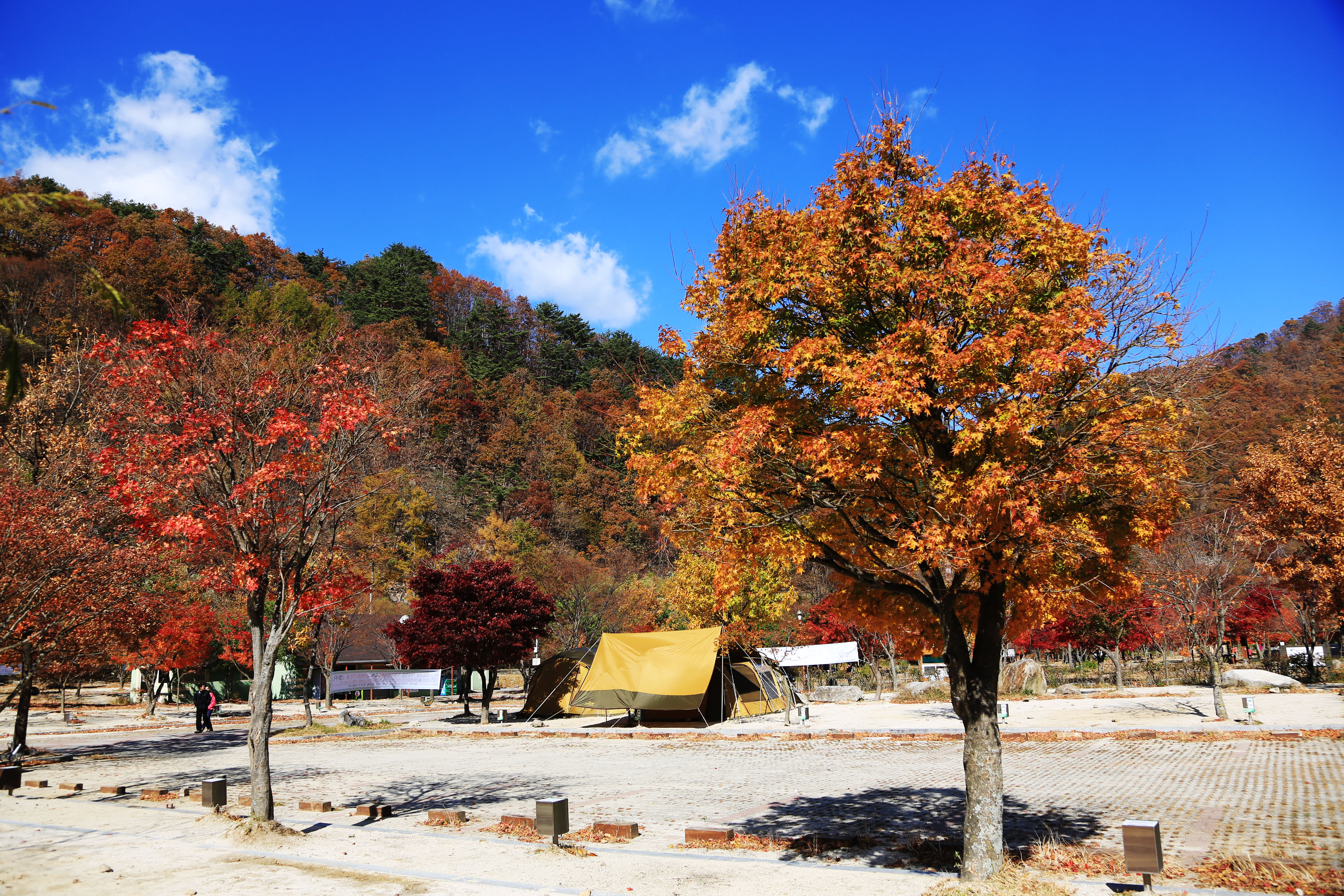 달궁자동차야영장 4번째 이미지
