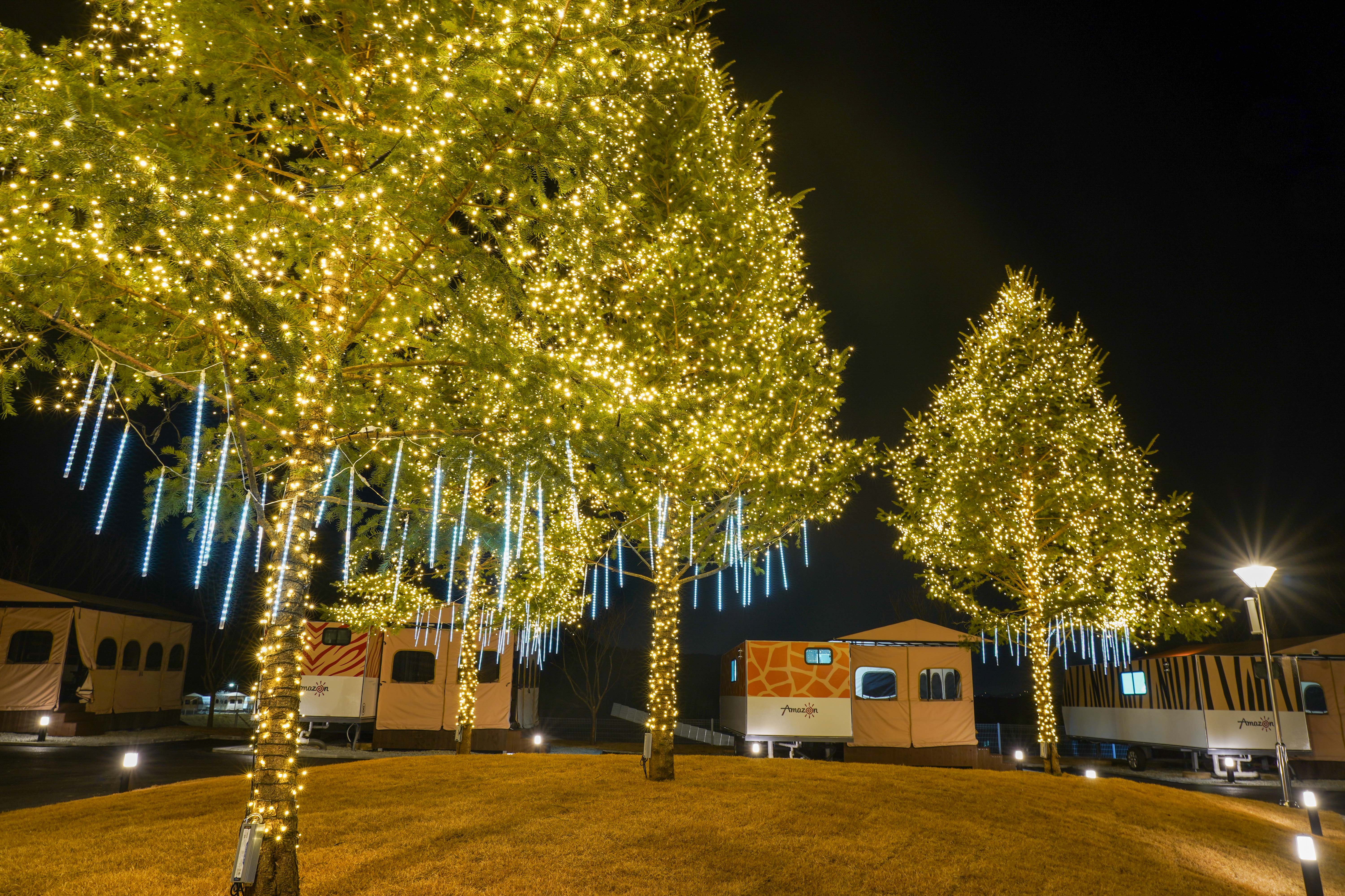 카라반파크 아마존 23번째 이미지