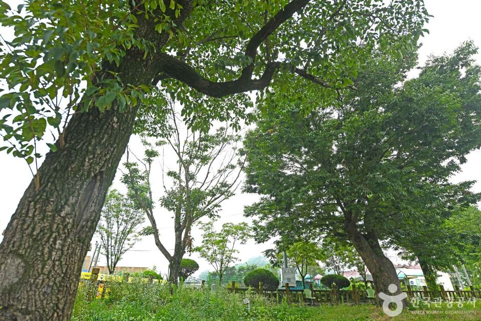 마이산 풍혈냉천 캠핑장