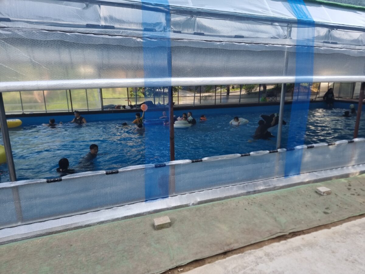 내안의 숲 10번째 이미지