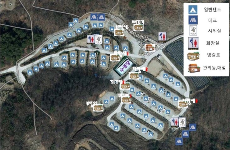 내안의 숲 1번째 이미지