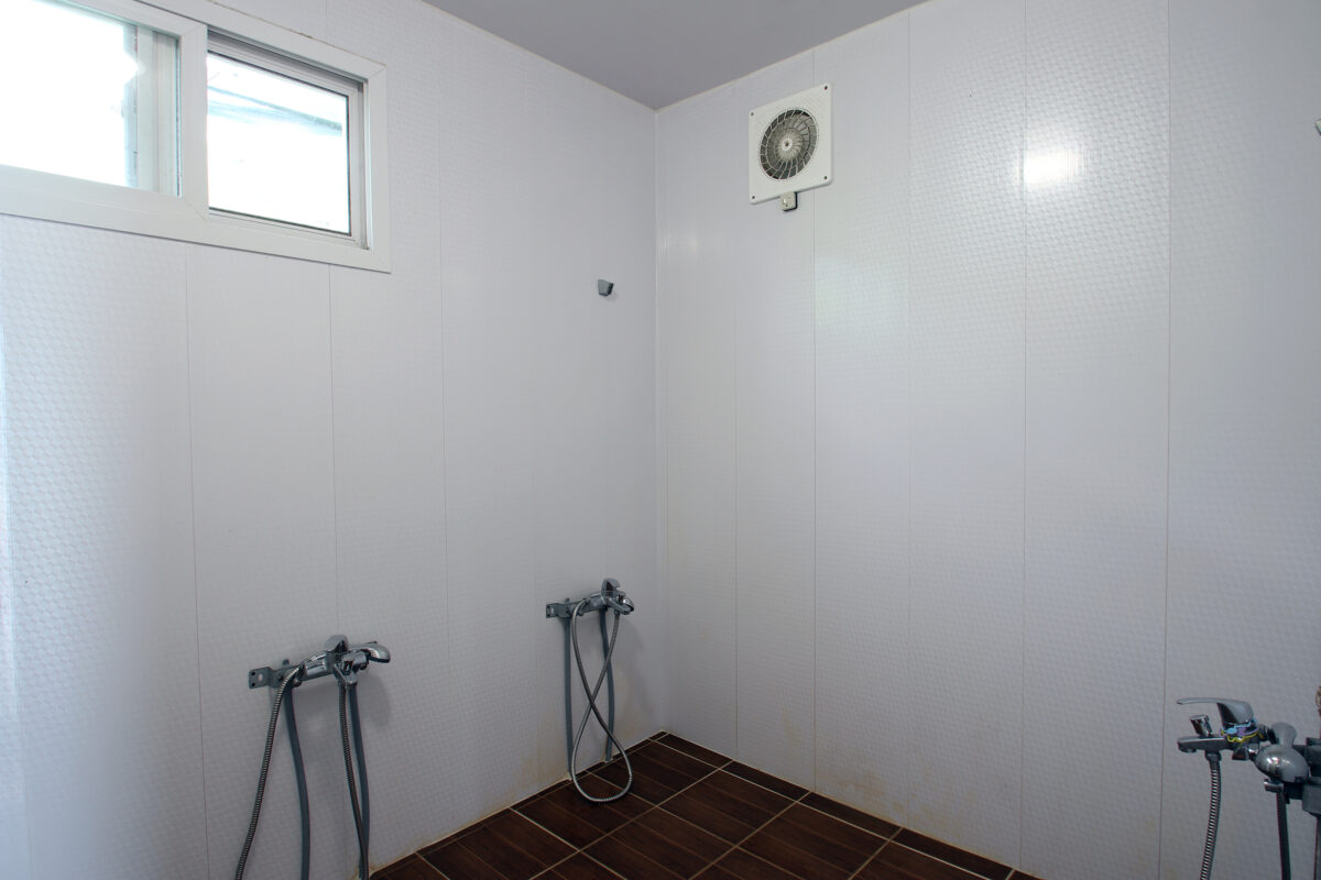 내안의 숲 6번째 이미지