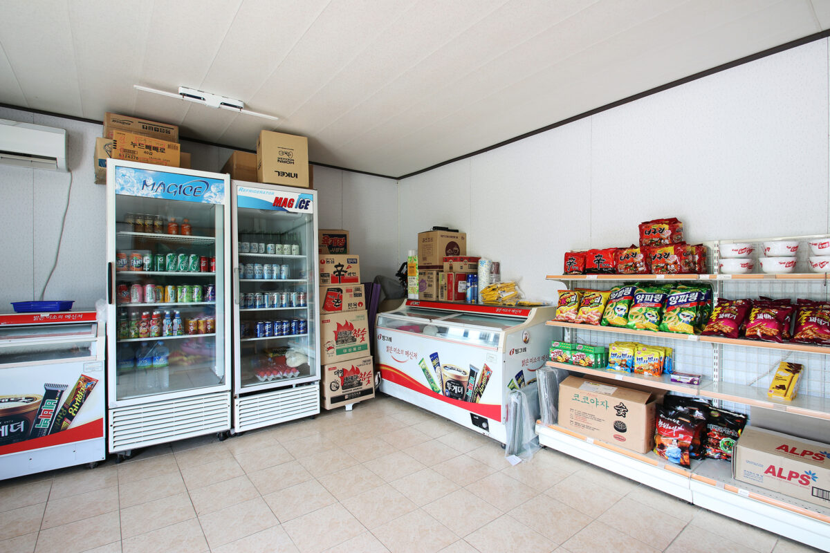 내안의 숲 5번째 이미지