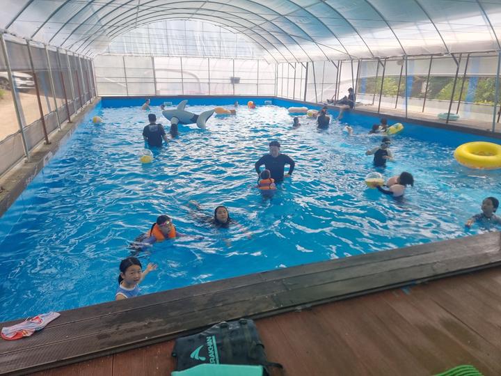 내안의 숲 대표 이미지