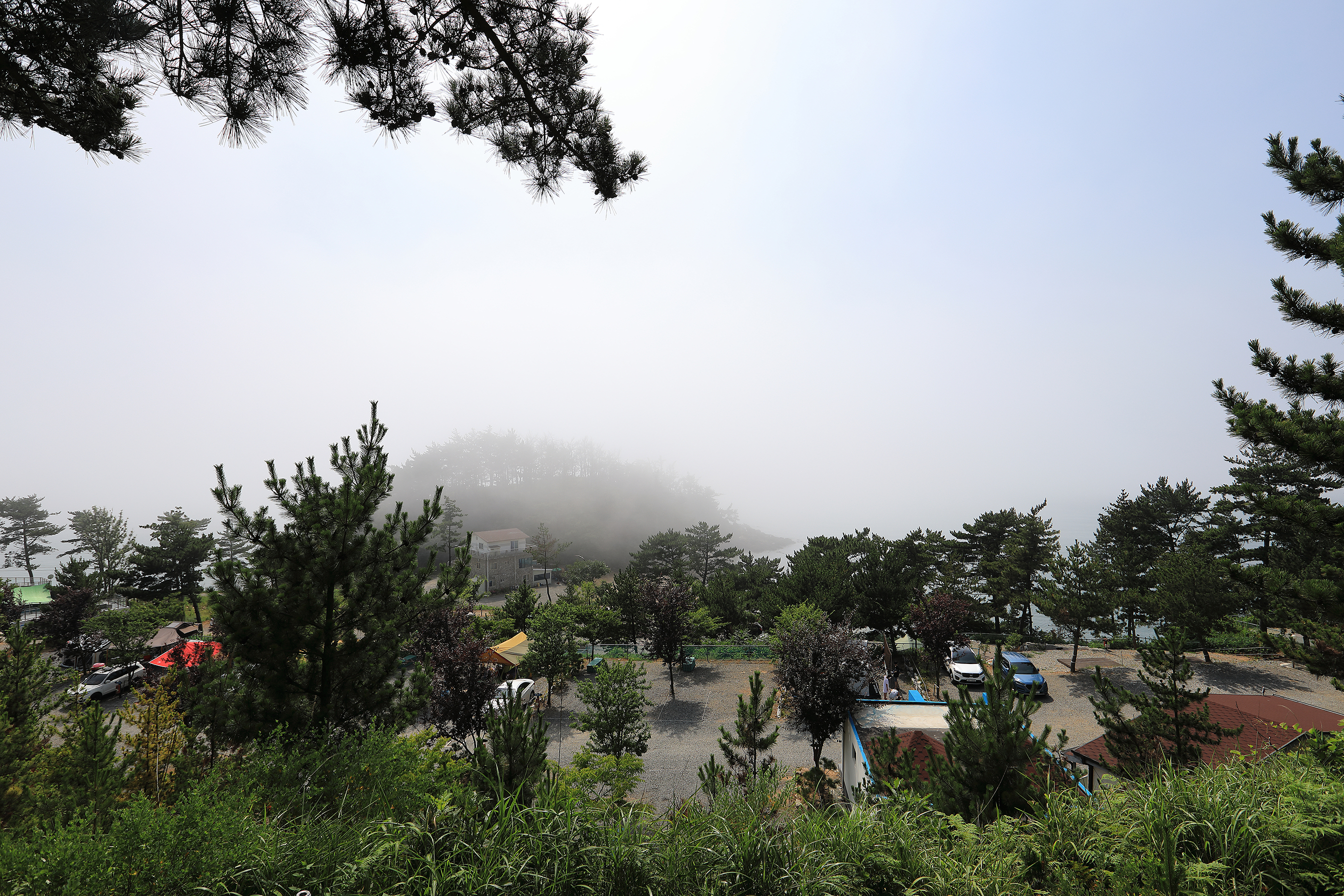 SE클럽(태안둘레길캠핑장&펜션) 2번째 이미지