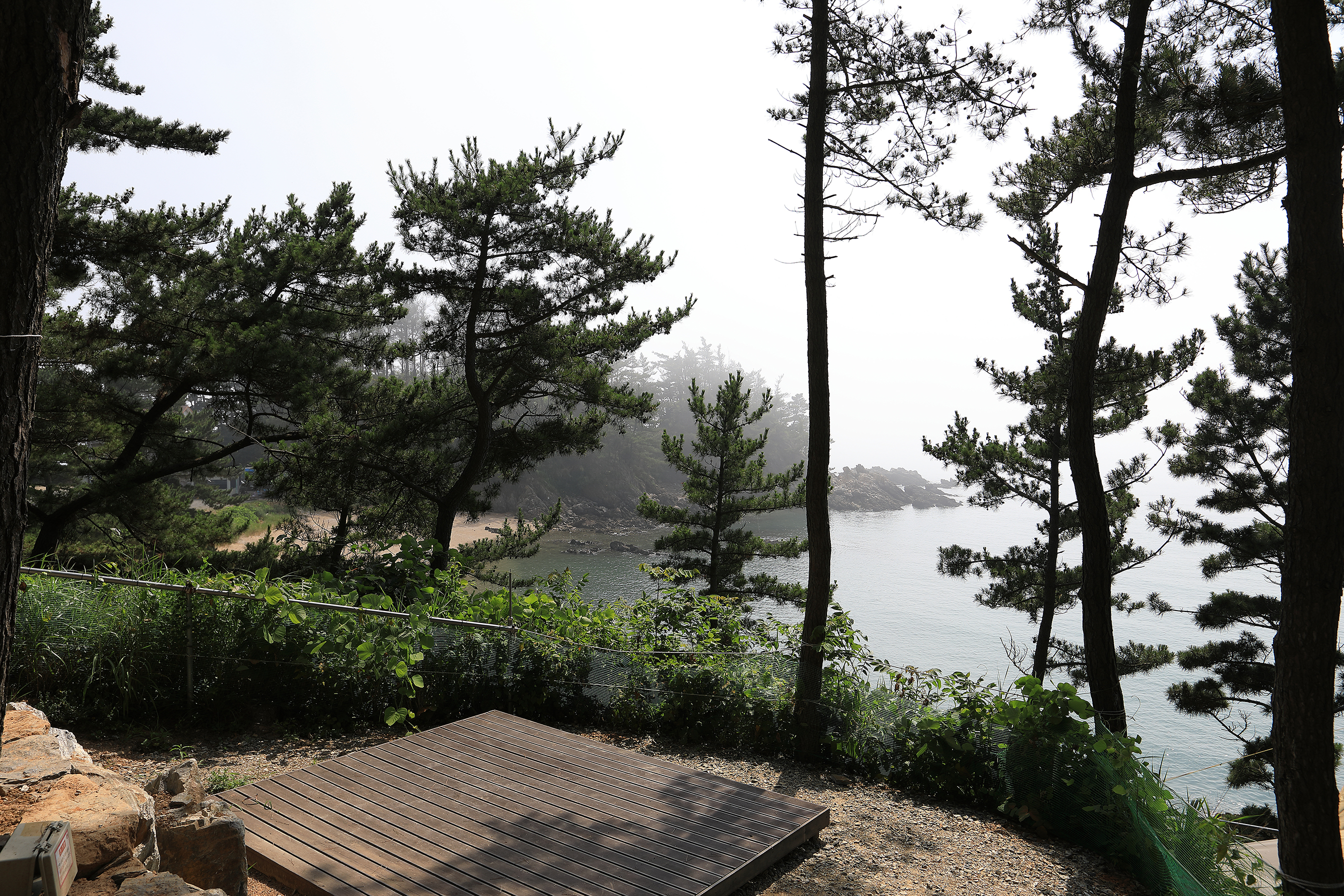 SE클럽(태안둘레길캠핑장&펜션) 6번째 이미지