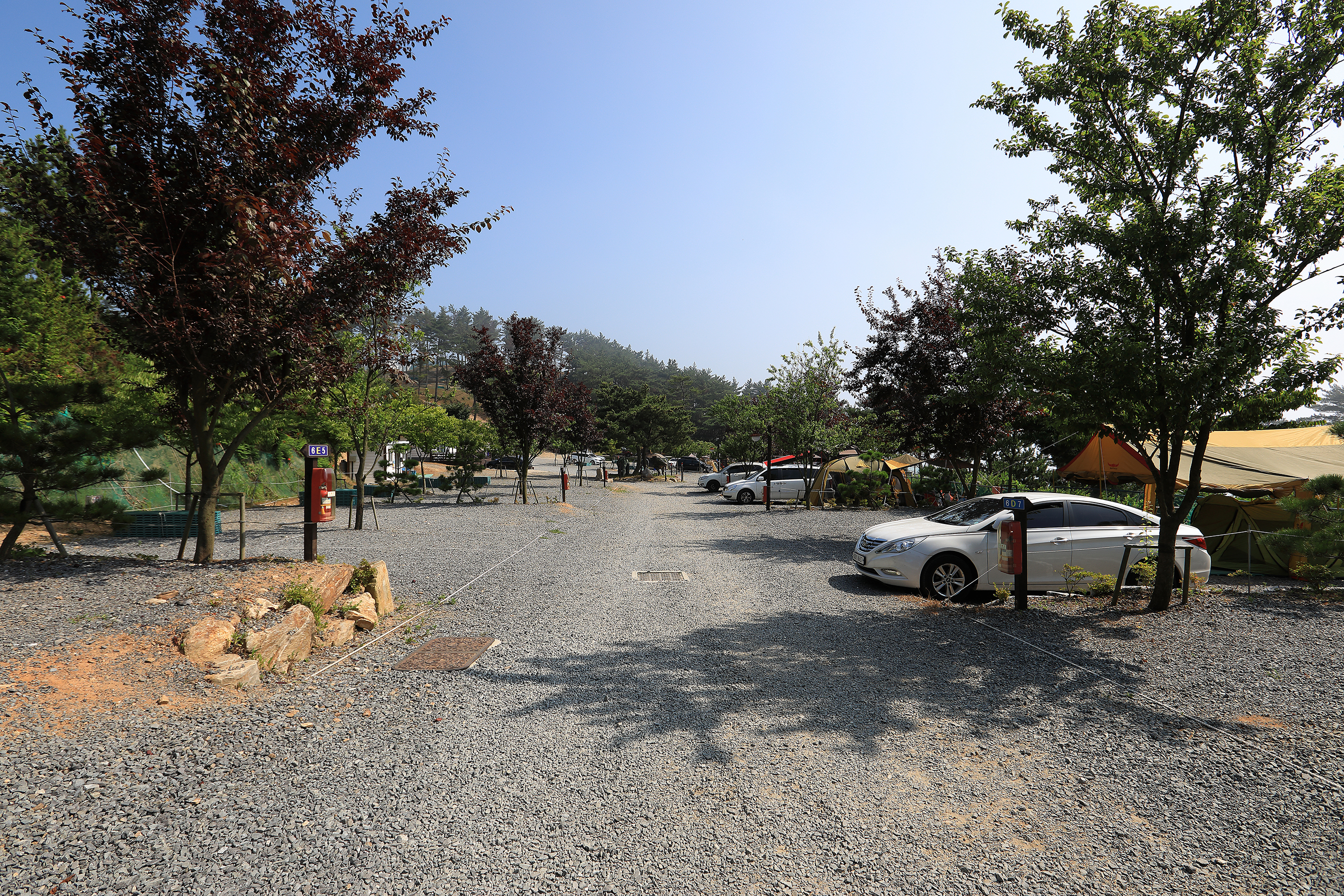 SE클럽(태안둘레길캠핑장&펜션) 11번째 이미지