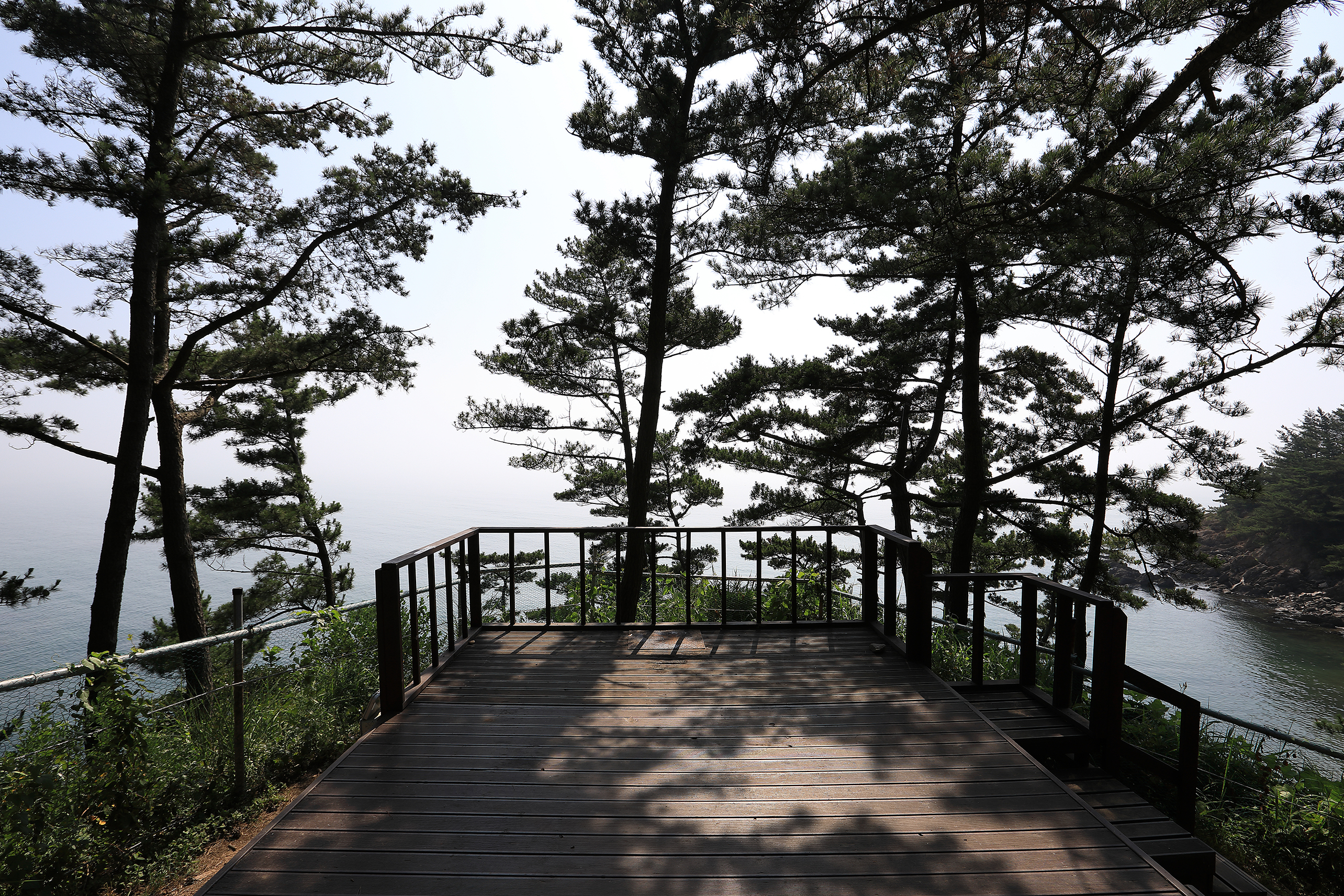 SE클럽(태안둘레길캠핑장&펜션) 12번째 이미지