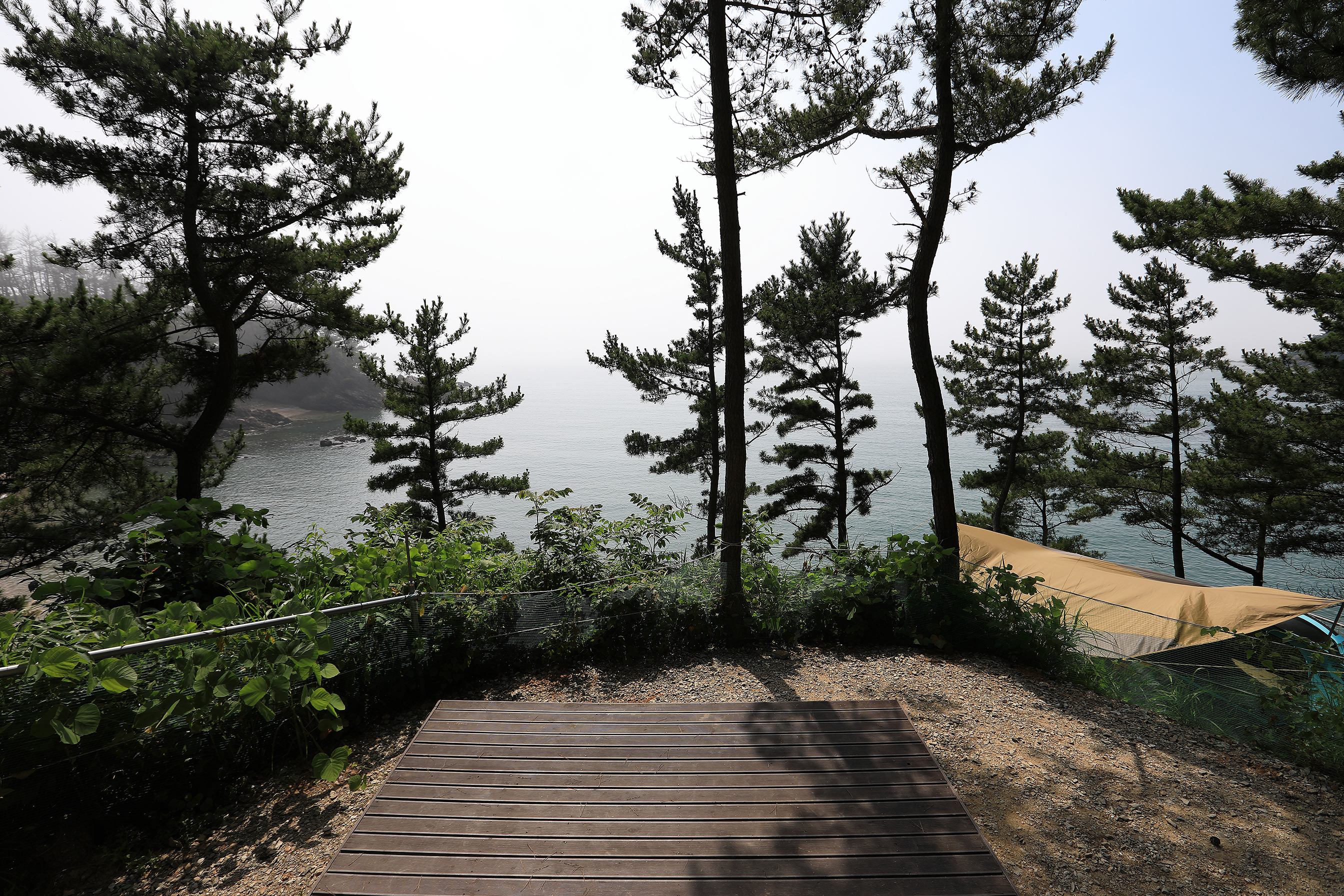 SE클럽(태안둘레길캠핑장&펜션) 7번째 이미지