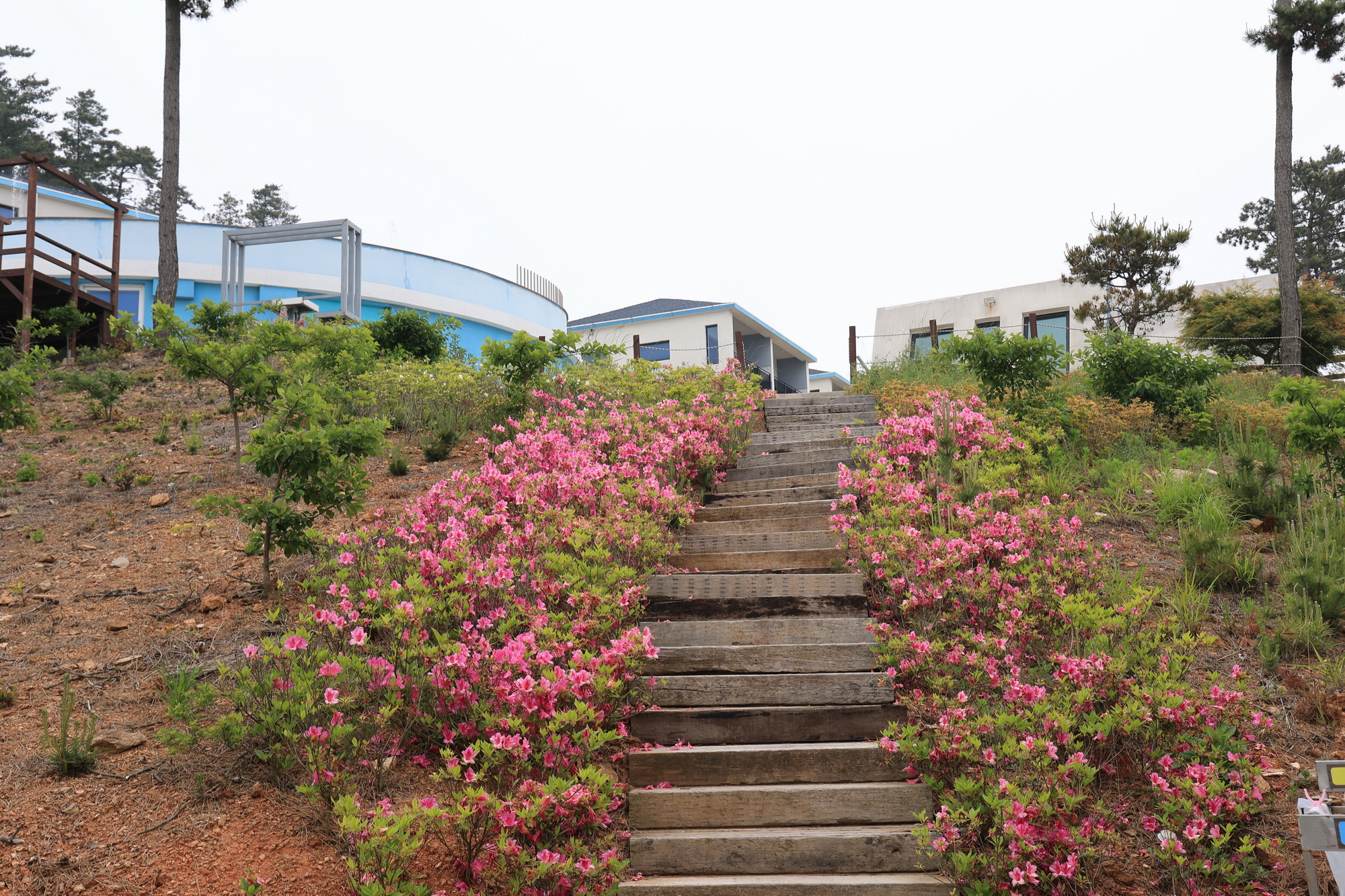 에스이(SE)클럽관광농원야영장 23번째 이미지